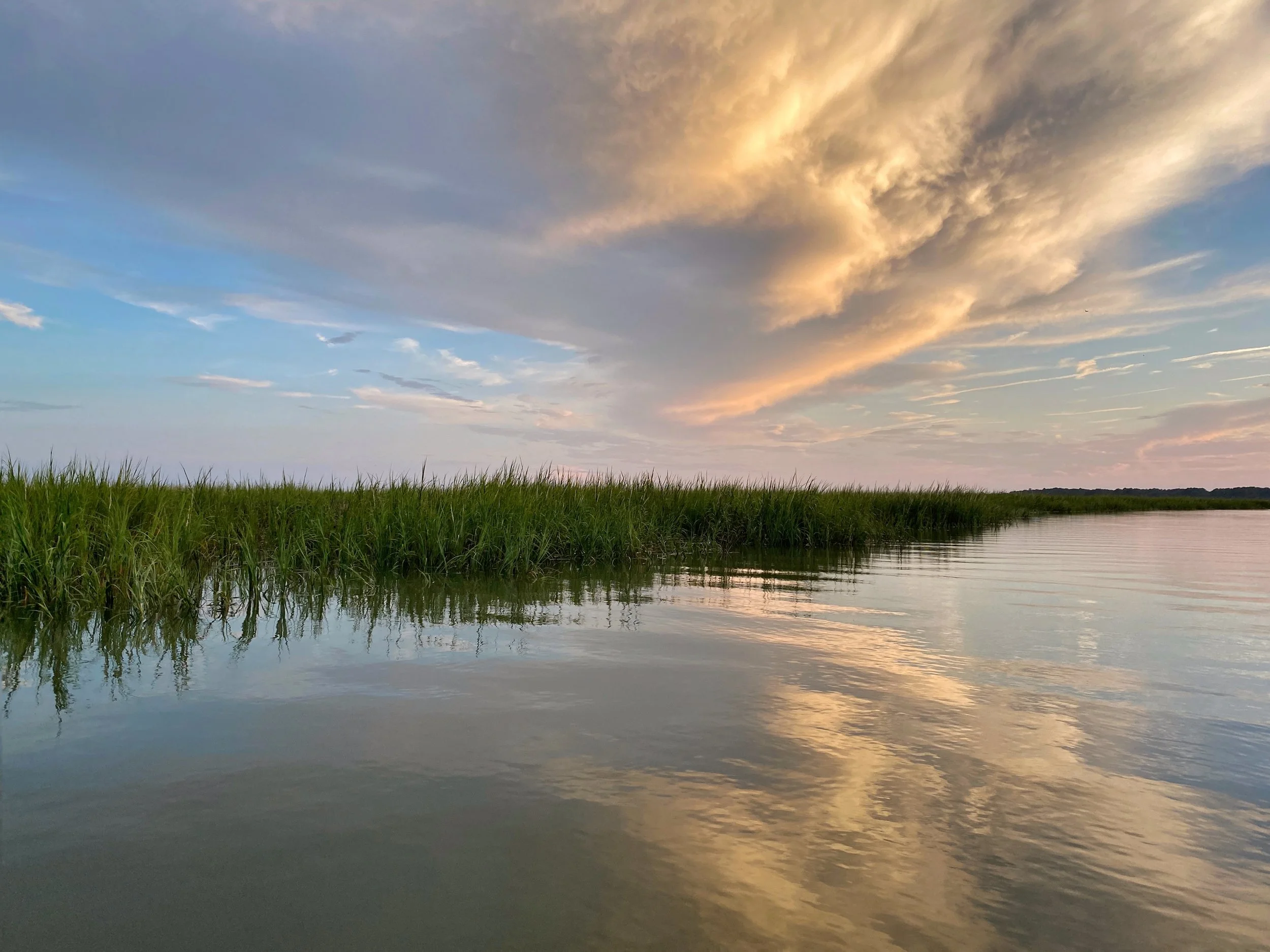 Marsh Cloud Angel