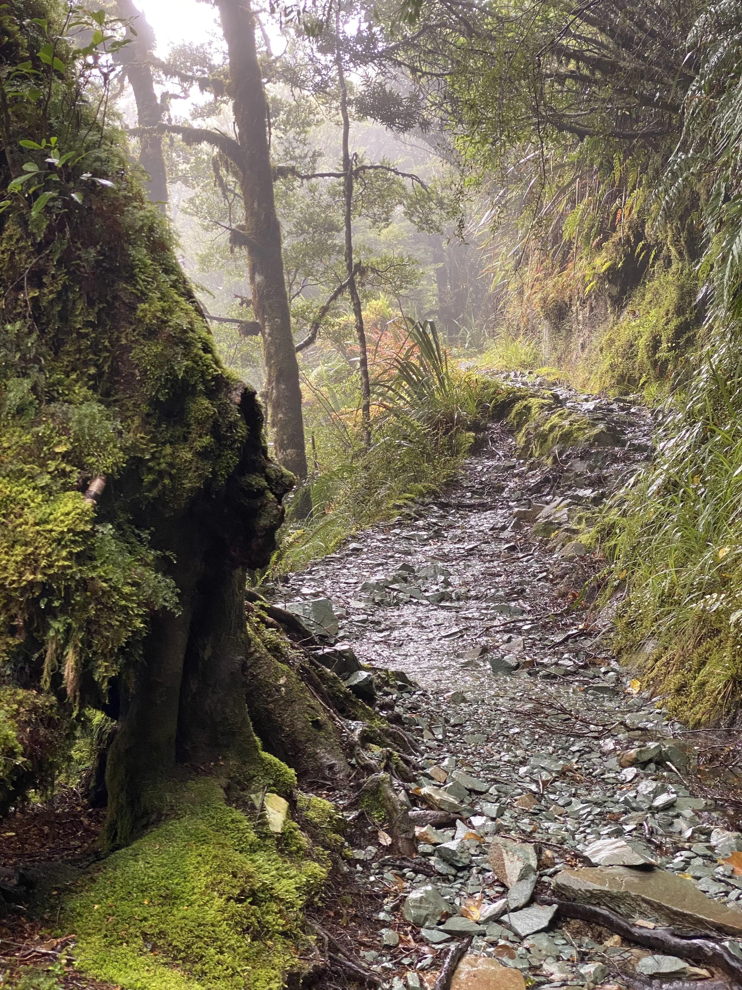 Trail Guardian Tree Spirit
