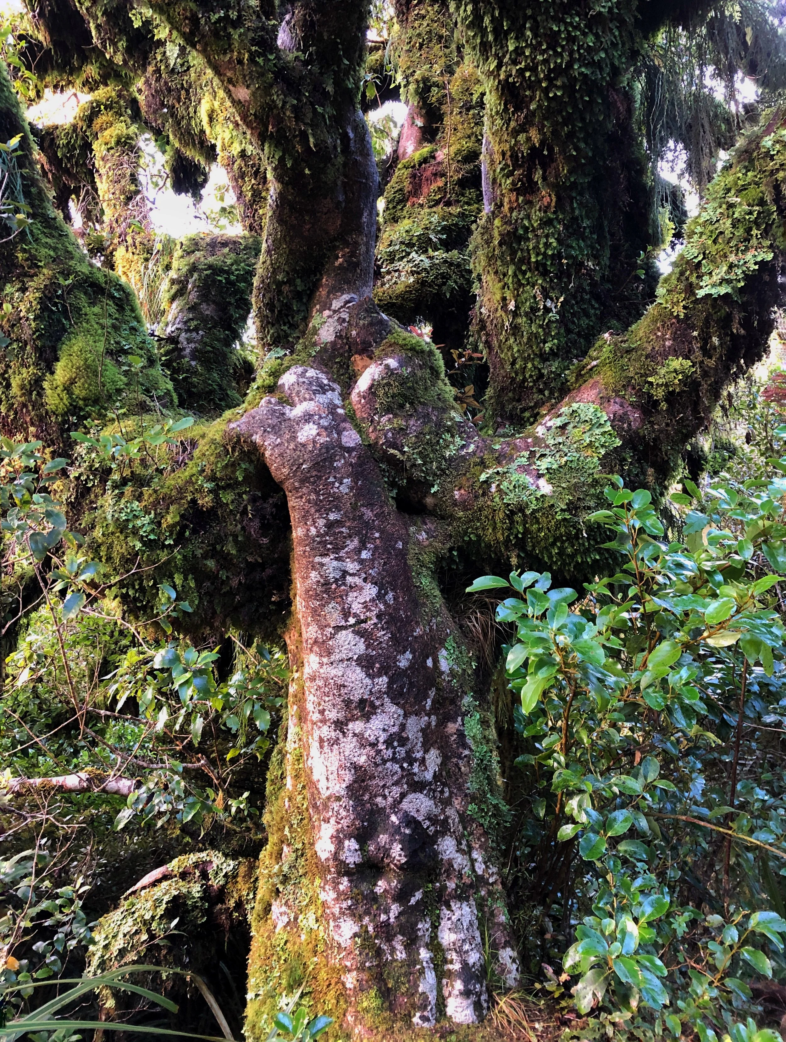 Heart Set Free Tree