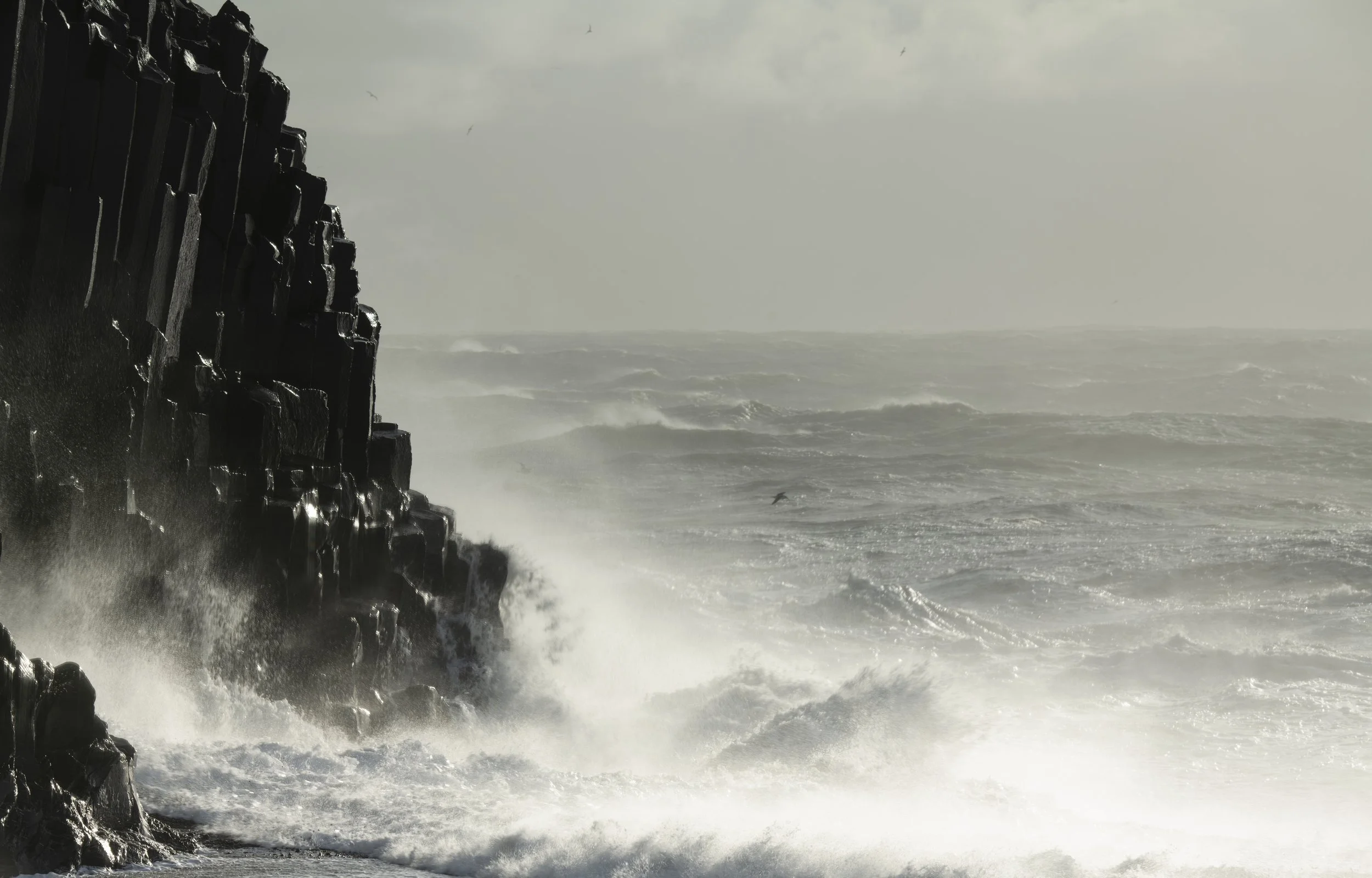ARPS Iceland -3.jpg