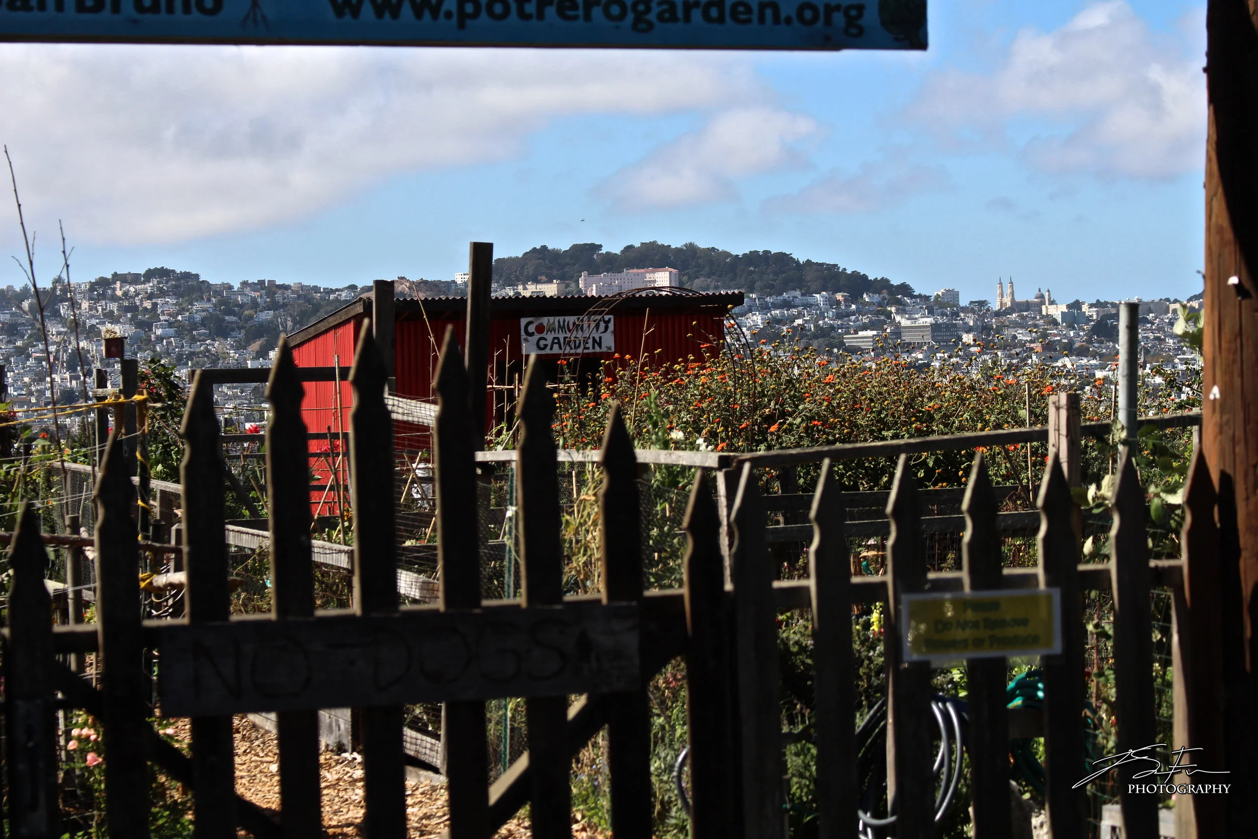 LOCATION:&nbsp;20th St &amp; San Bruno Ave &nbsp; &nbsp;• &nbsp; &nbsp;PHOTO:&nbsp;Jared SF, IAMMYCITYSFCAMERA:&nbsp;Canon EOS REBEL T5iSHOOTING SPECS: &nbsp;&nbsp;Shutter Speed: 1/500 &nbsp;• &nbsp;Aperture: f/6.3 &nbsp;• &nbsp;IOS: 100LENS:&nbsp;C…