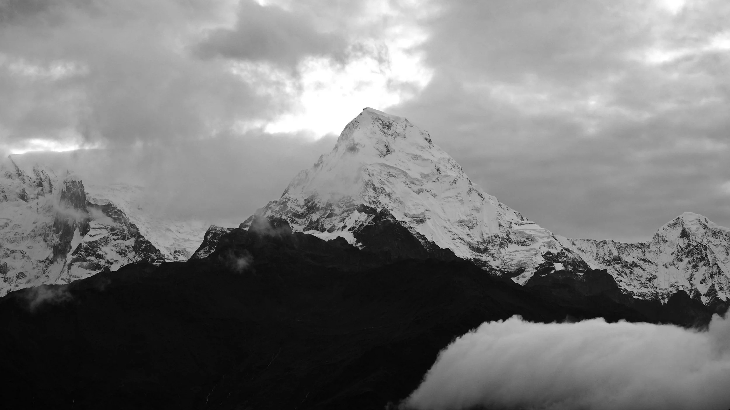 P1012119.jpg