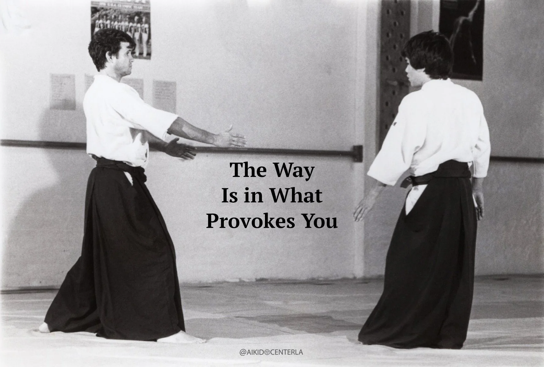 The Way