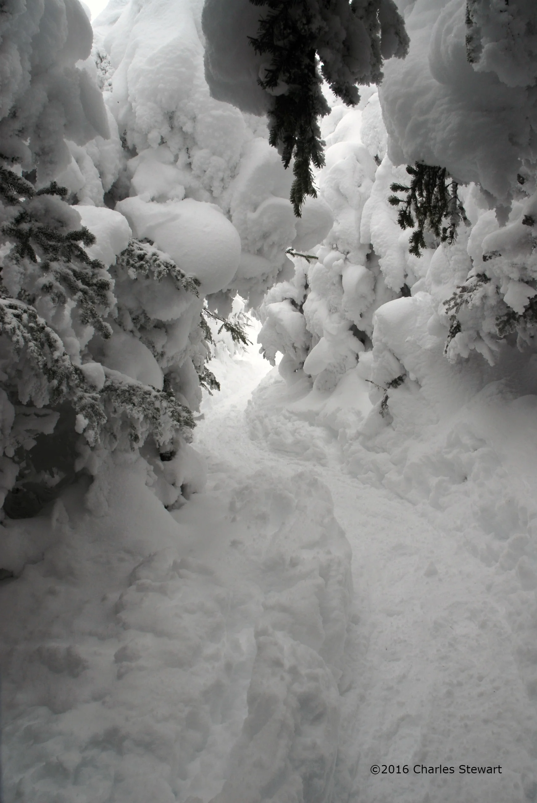 Winter adventures