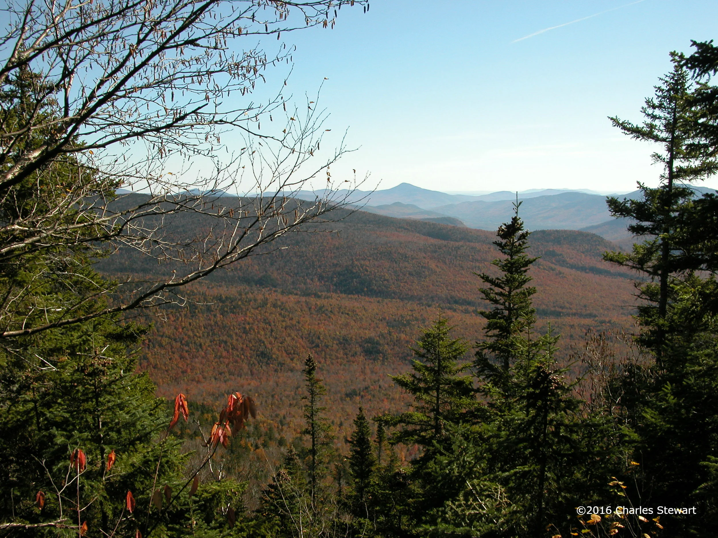 06Carrigan01-c.jpg