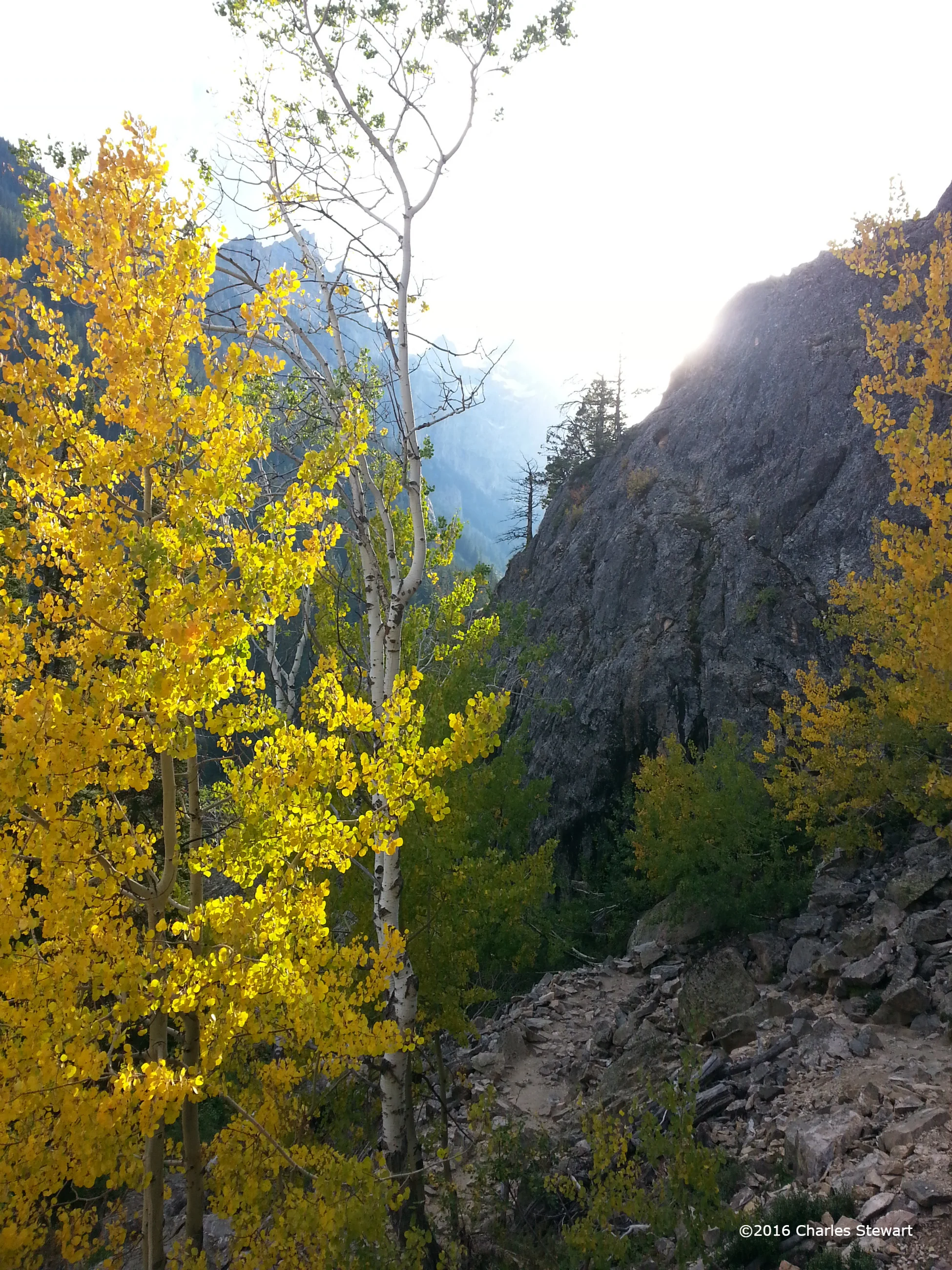20140917_192421-c.jpg