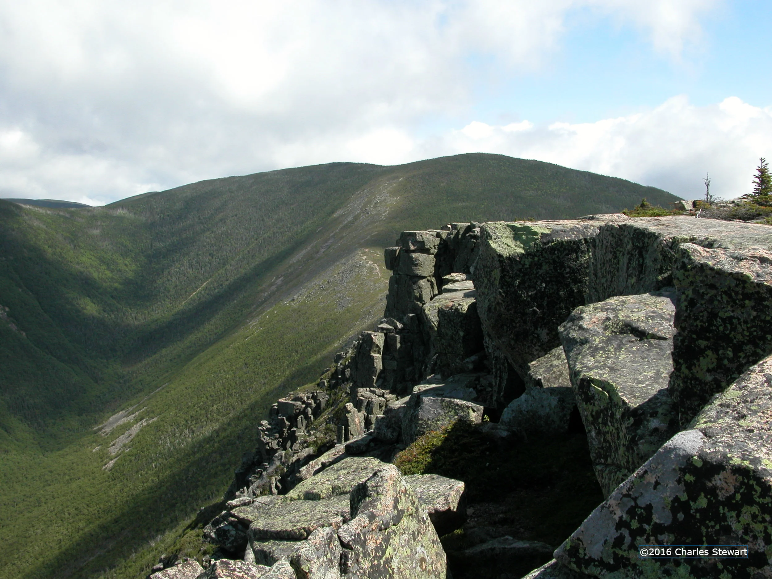 Pemi011-c.jpg