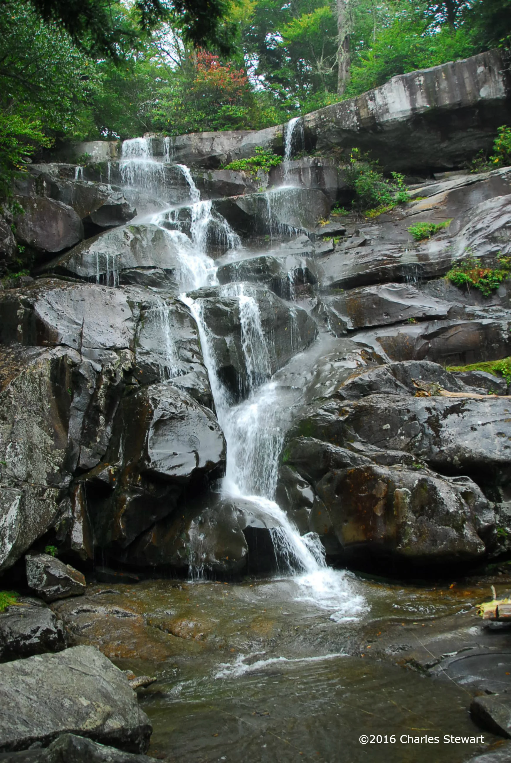 Water rushes down a mountain stream in the Smoky Mountains