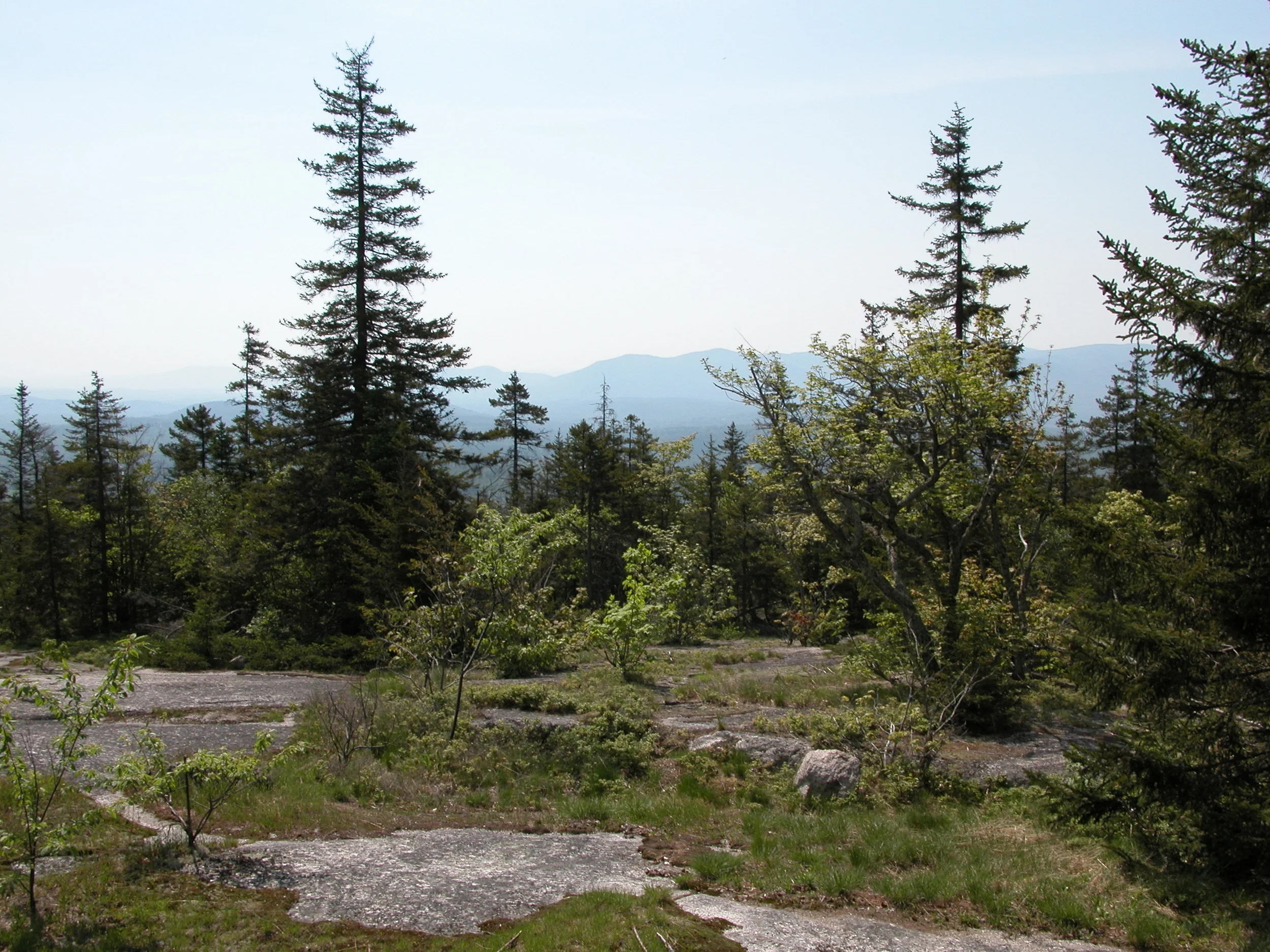 WHITEFACE via BLUEBERRY LEDGE TRAIL