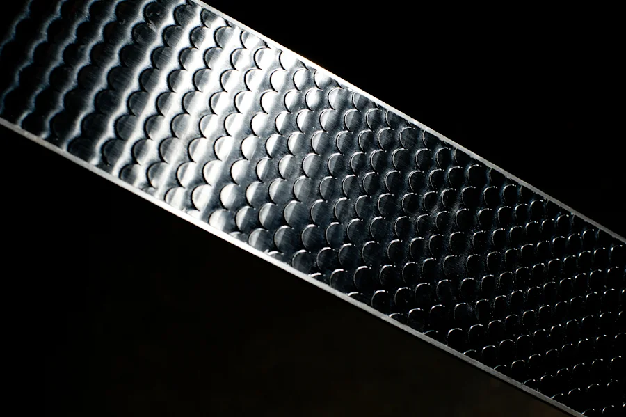 Scales on the bottom of backcountry skis