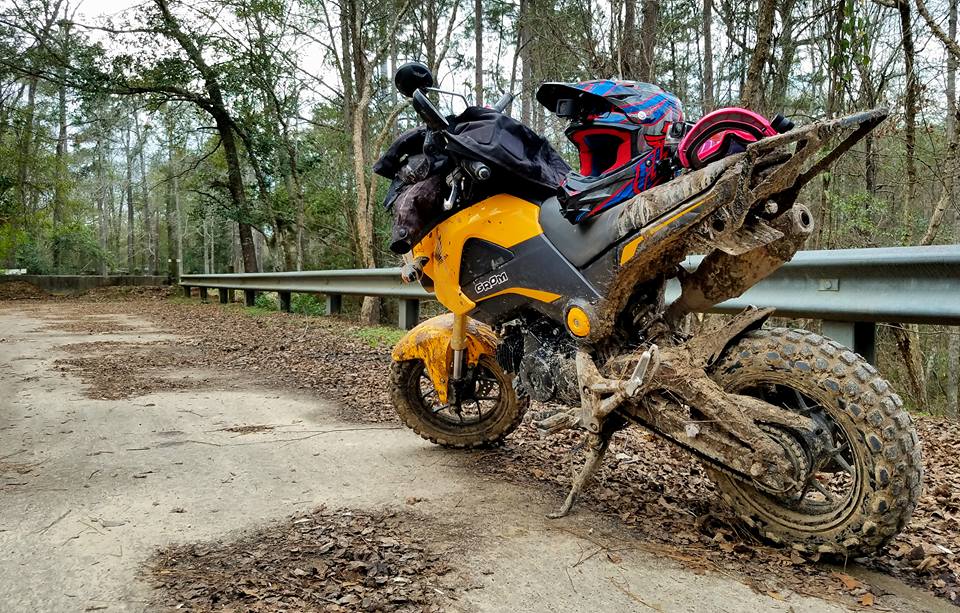 The Honda Grom Is An Honorary Supermoto