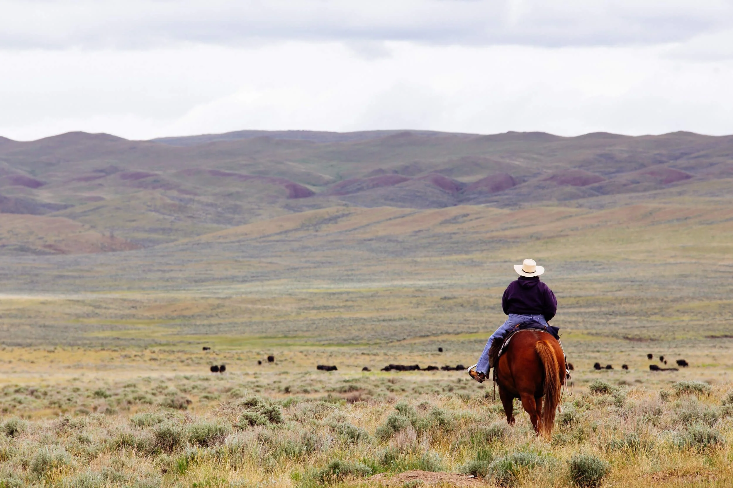 Why Form an LLC in Montana? These Are the Benefits