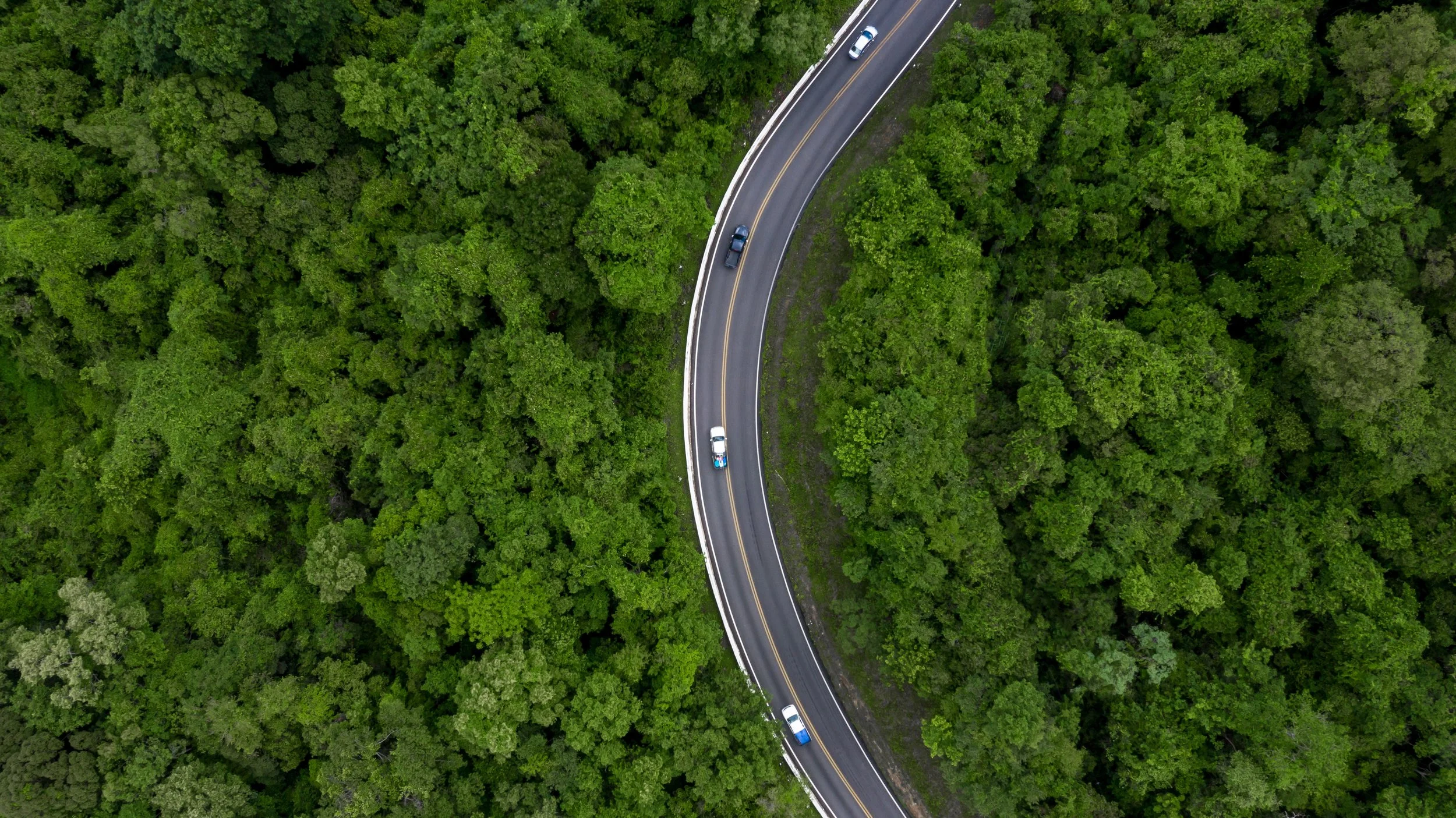 Charged Up or Fueled Up? The Great Car Debate