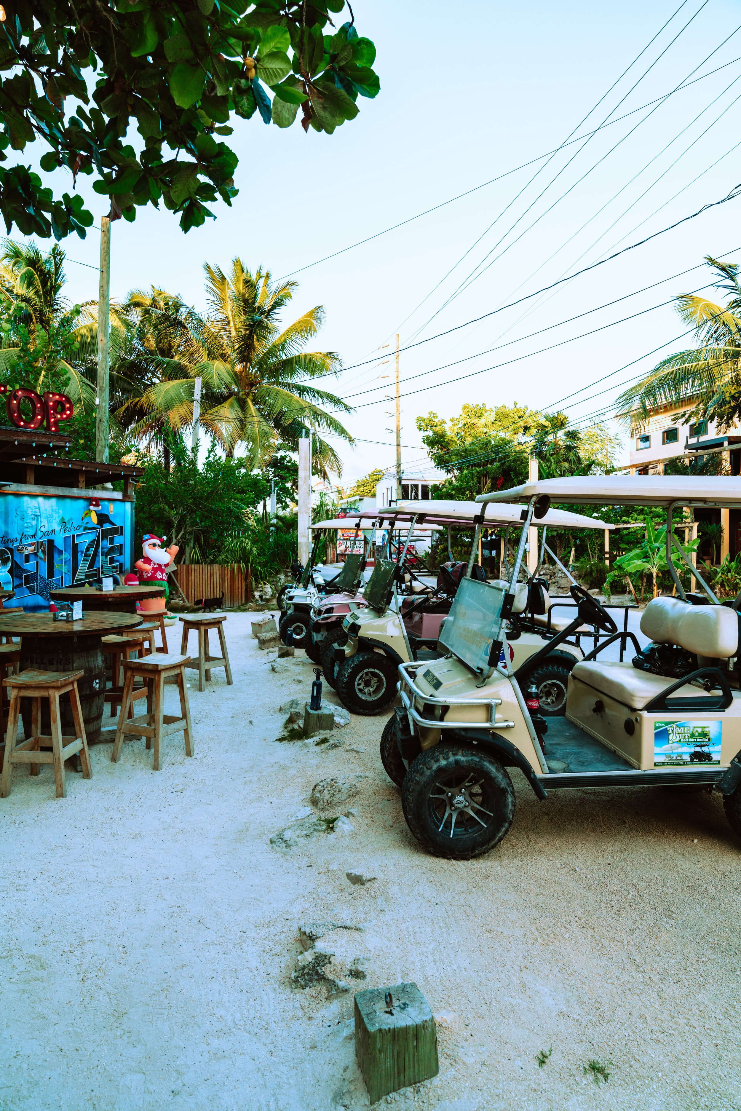 Amusement Park Electric Shuttles and Theme Park Golf Carts