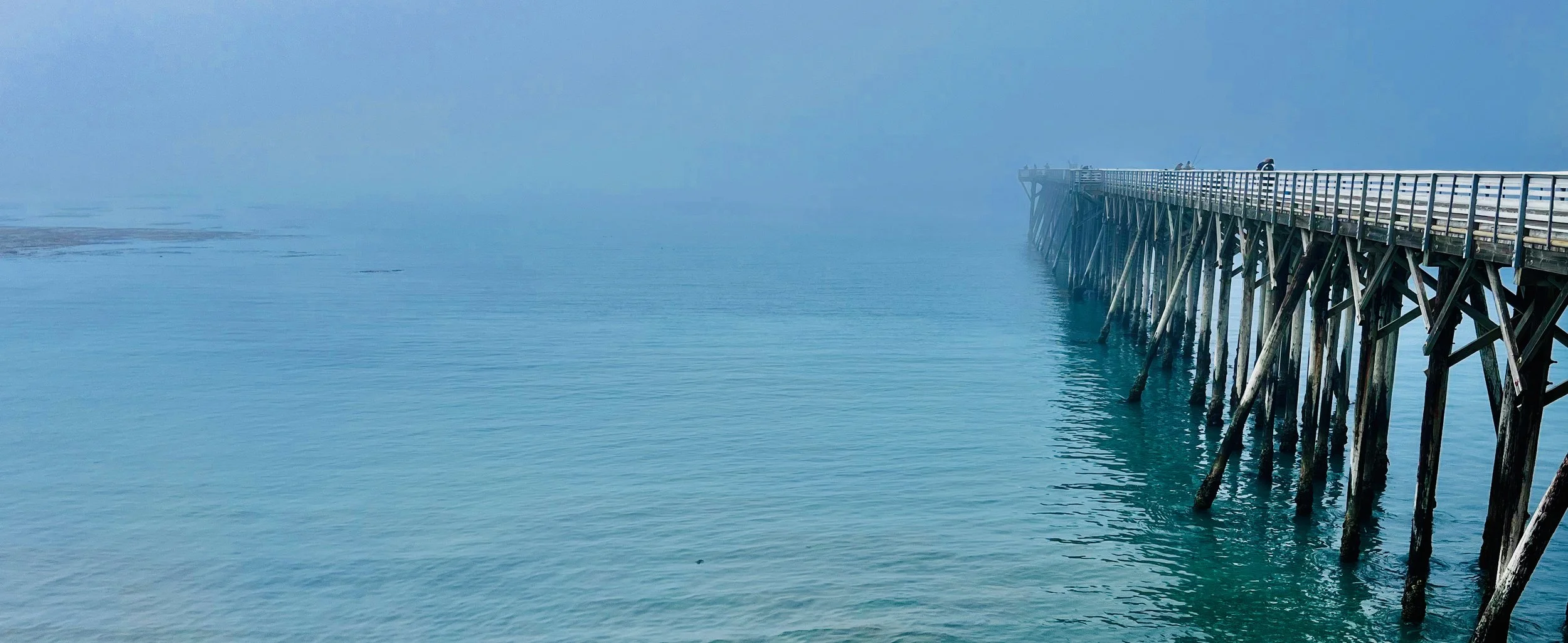 What is Surf Therapy? — Hydro Theory Programs