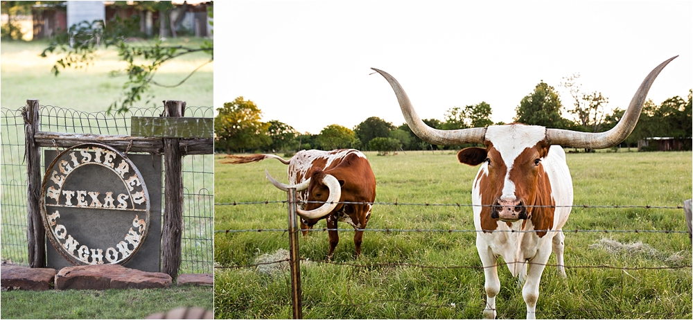 Lacey + Cary's Gruene Texas Wedding_0088.jpg