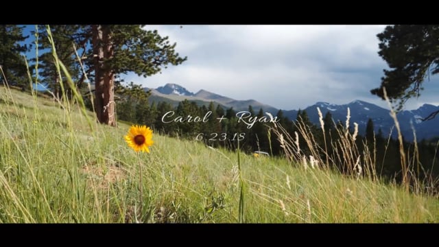 Carol and Ryan's Wedding Film