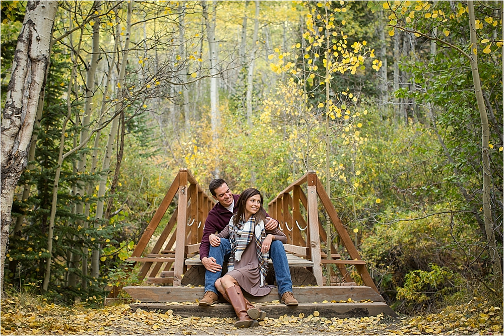 Hayley + Brent's Engagement Session_0001.jpg