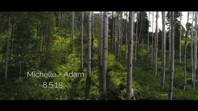 Michelle and Adam's Wedding Film