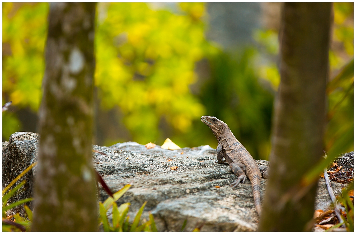 Kelsey and Taylor's Mexico Xcaret Destination Wedding_0008.jpg