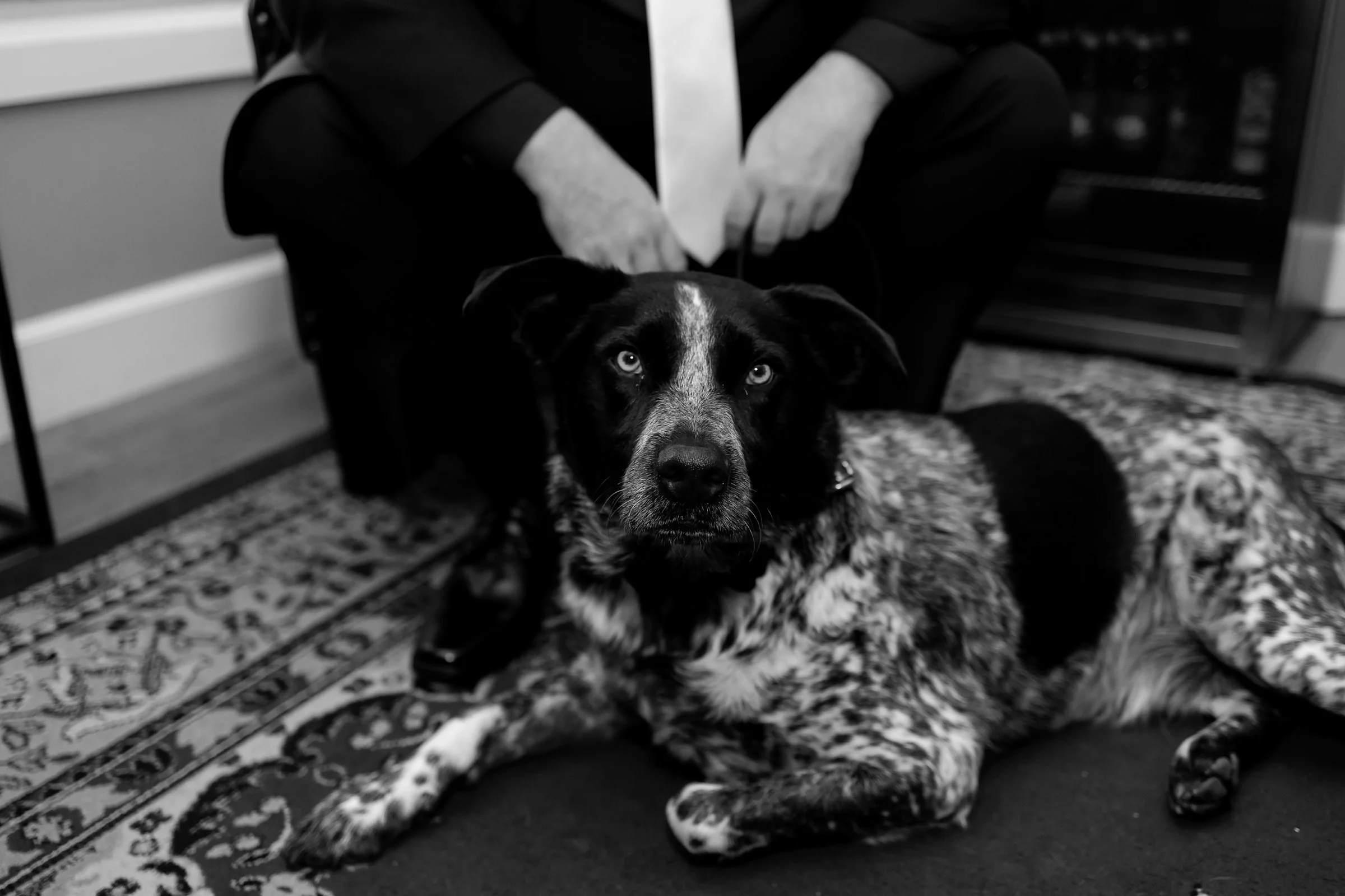 Katie & Danny022.jpg