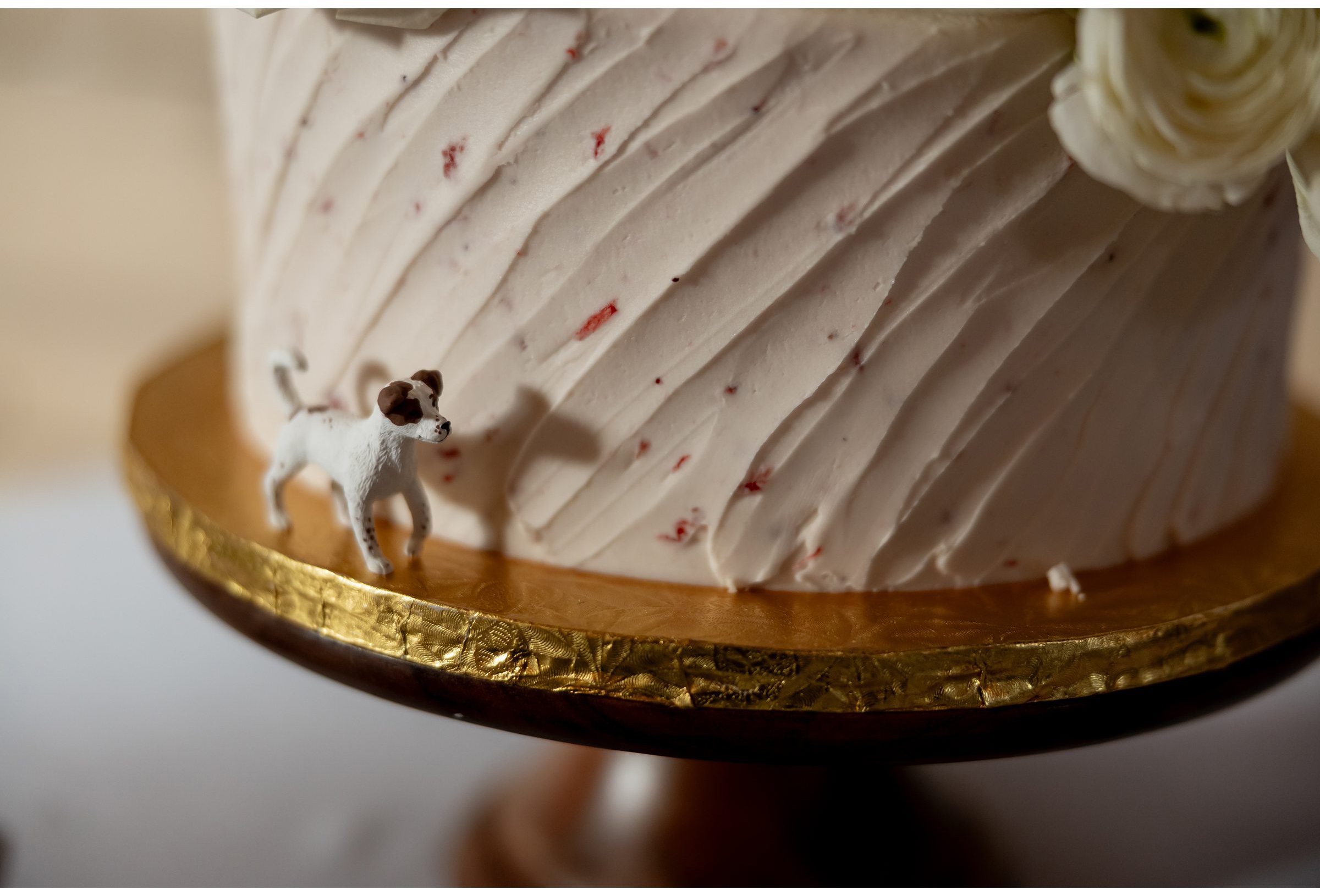 Emily & Andrew Wedding084.jpg