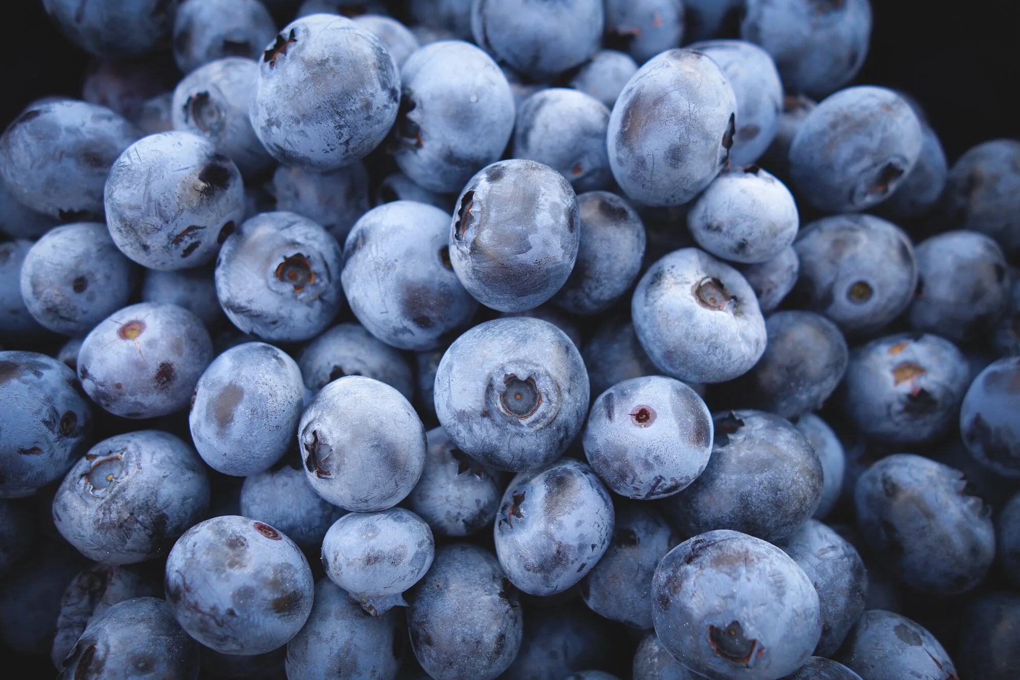 The Healing Power of Blueberries: Easing Abdominal Pain in Gastrointestinal Disorders