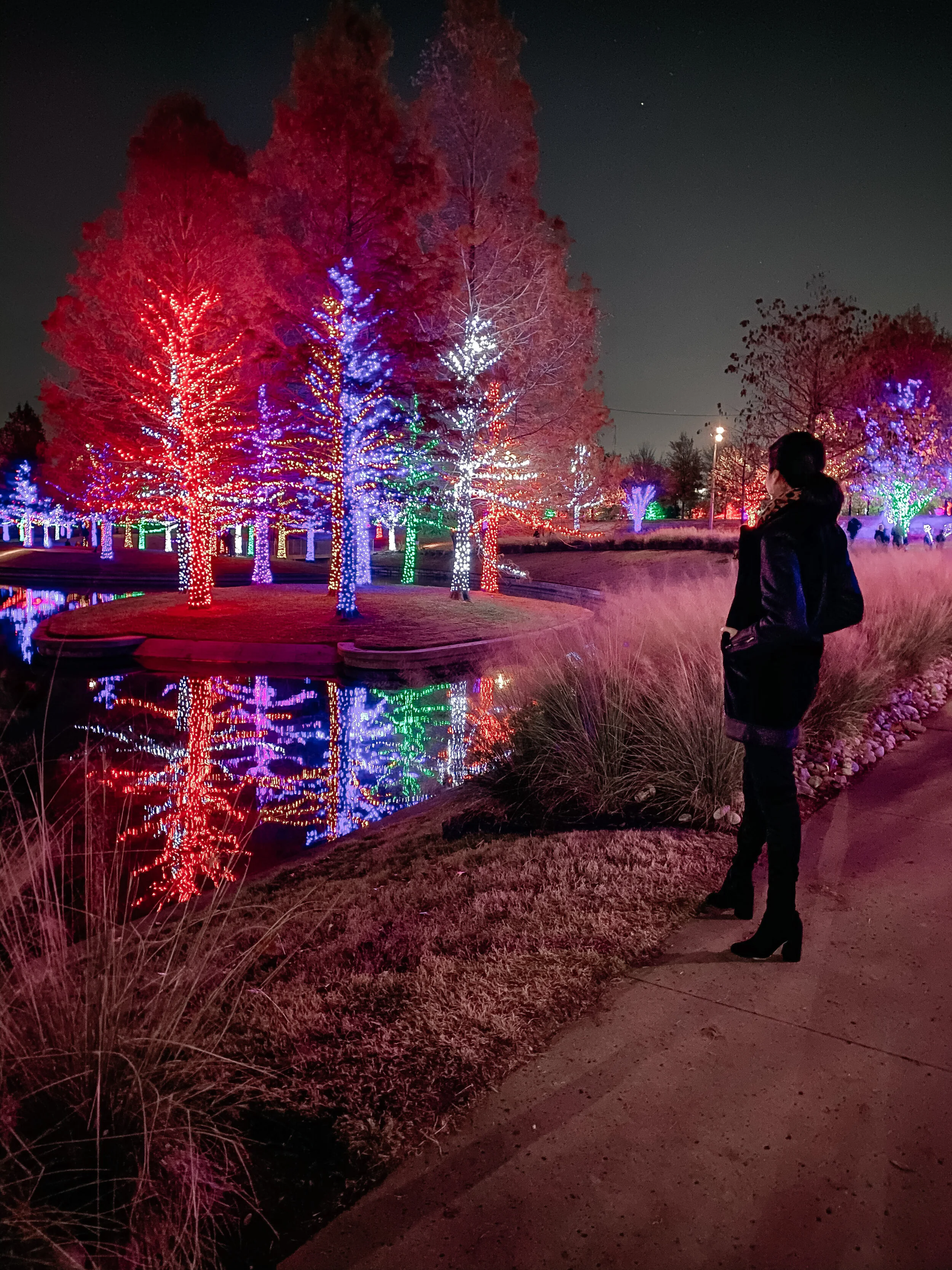 Top 5 Holiday Photo Ops in Dallas-Fort Worth
