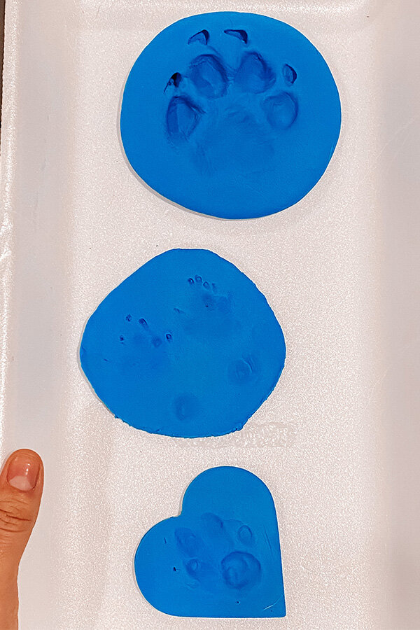 How To Make a Plaster of Paris Paw Print - Crystal Storms