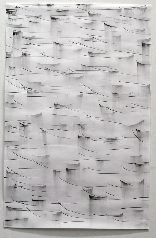 Untitled 2010