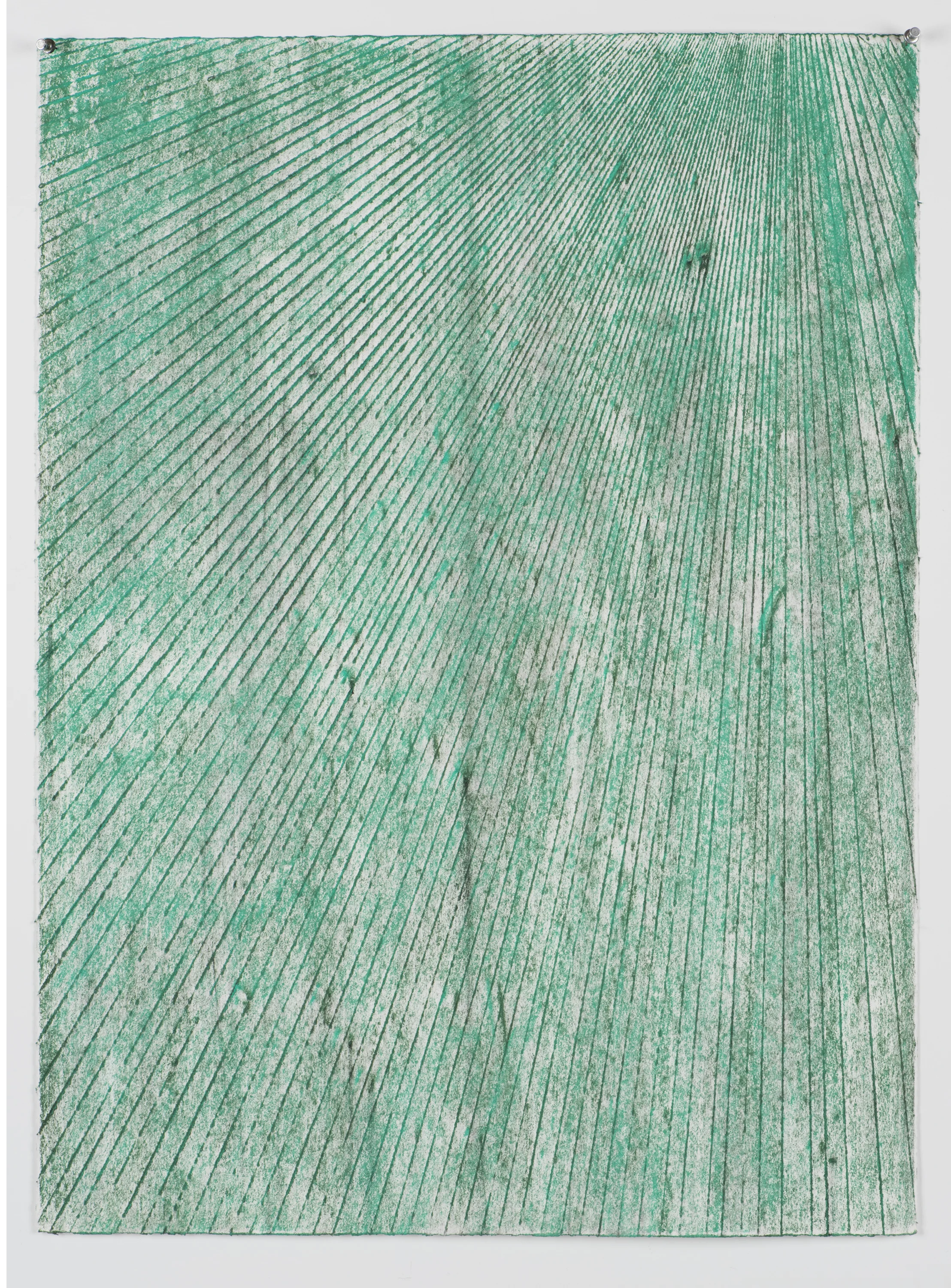 Ray 8 2017