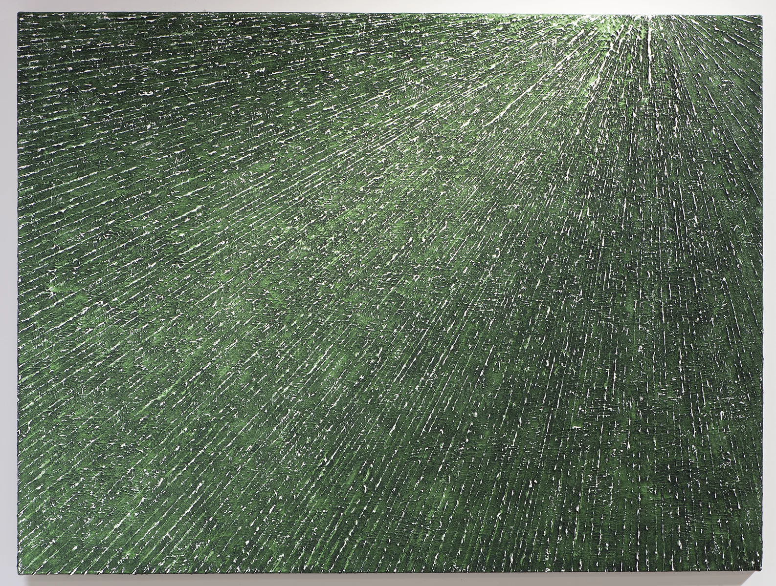 Green Star, 2017