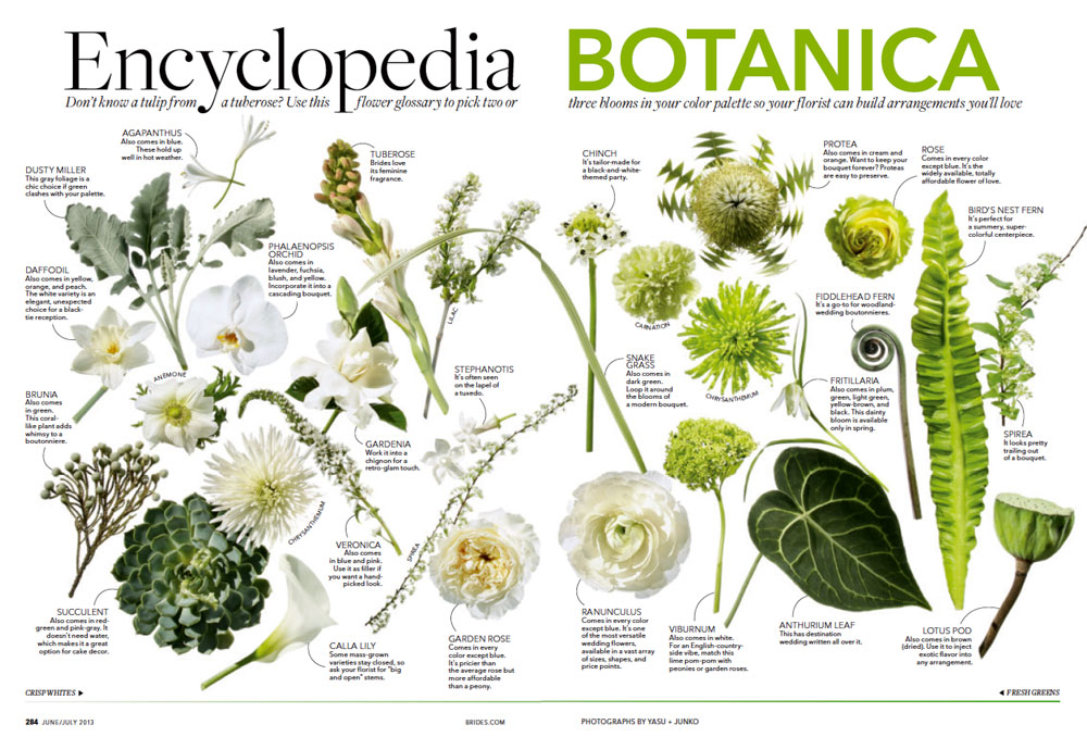 ENCYCLOPEDIA.jpg