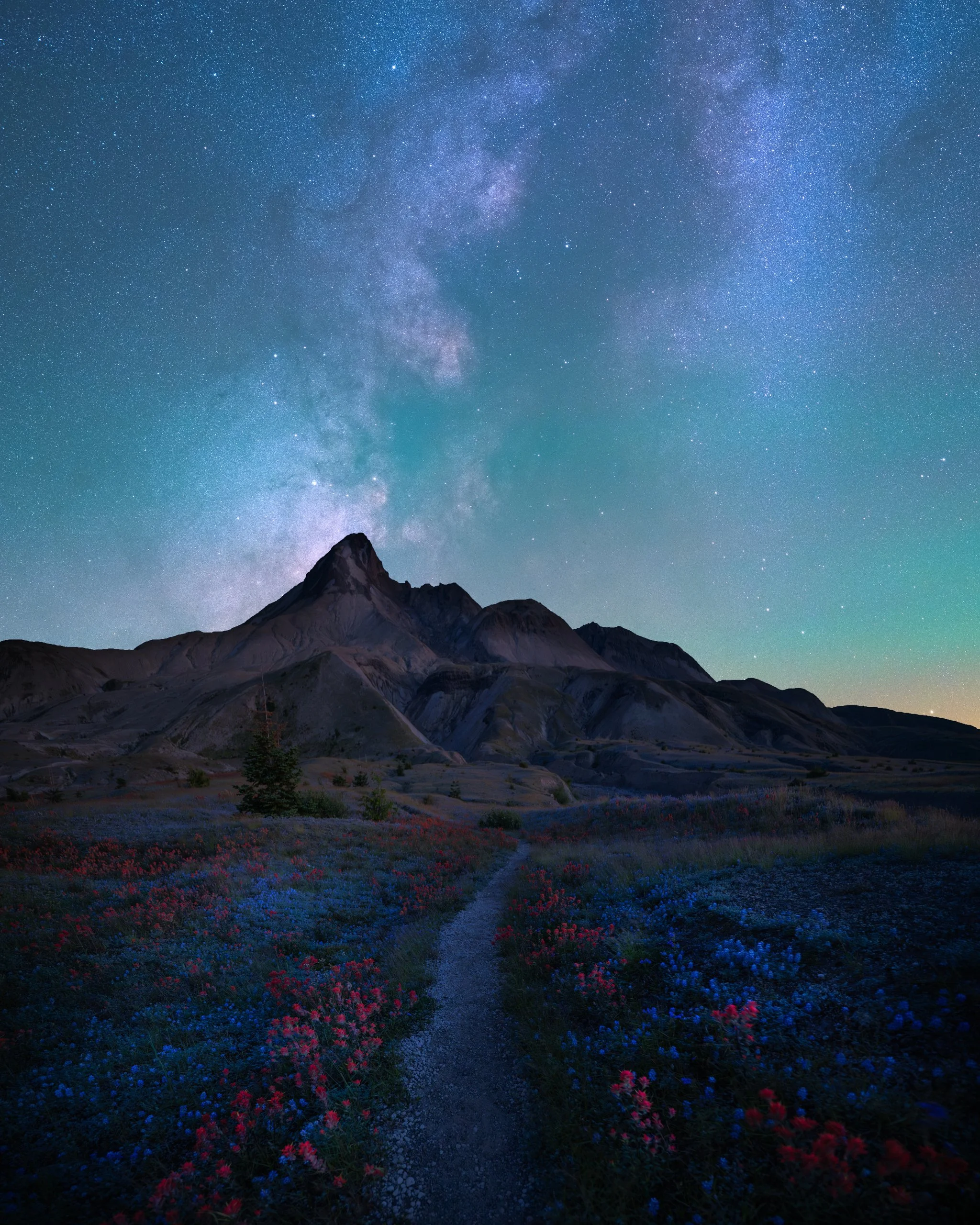 helens-wildflower-path-milky-way.web.jpg