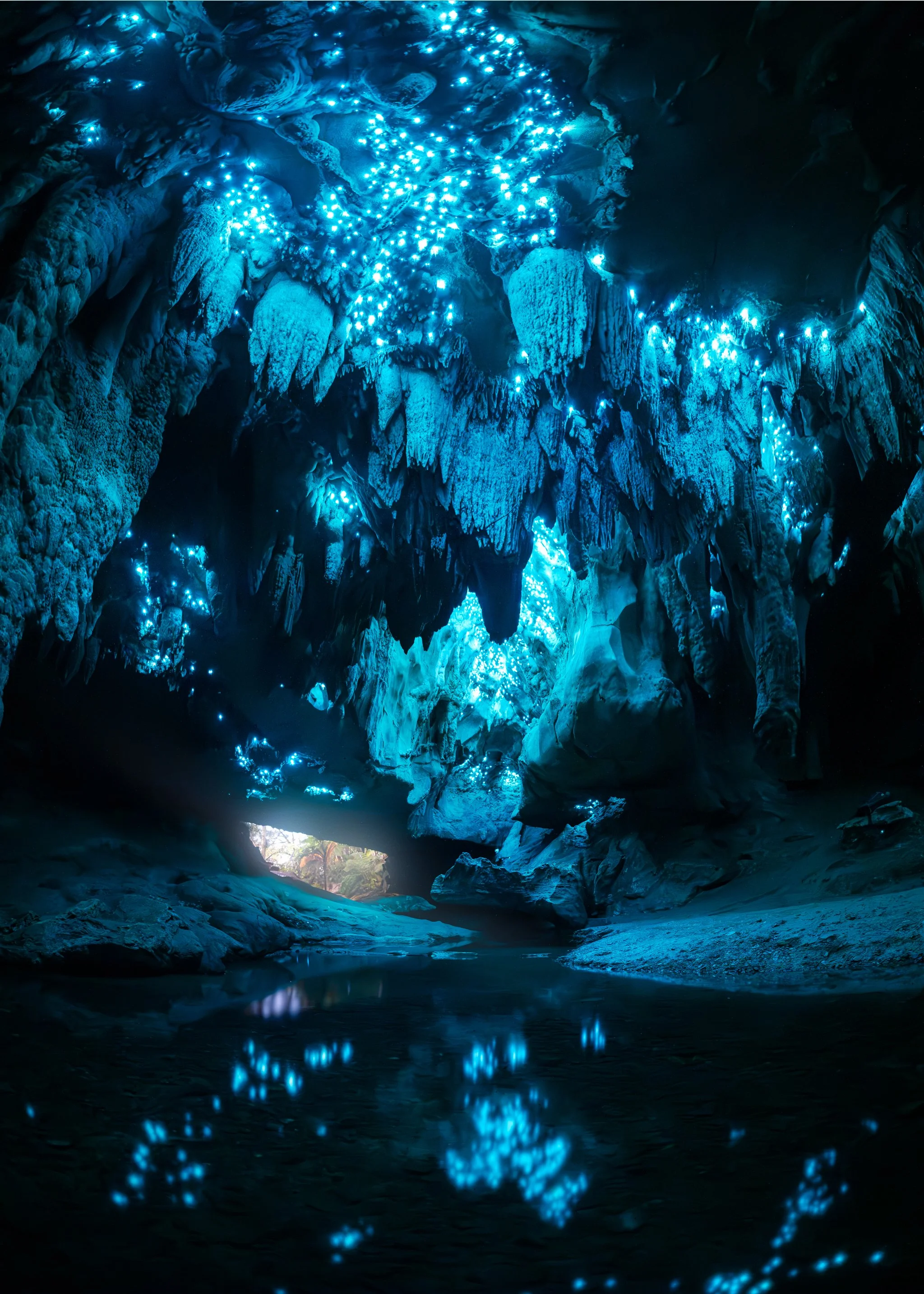 Waipu-Public-Cave-Entrance.web.jpg