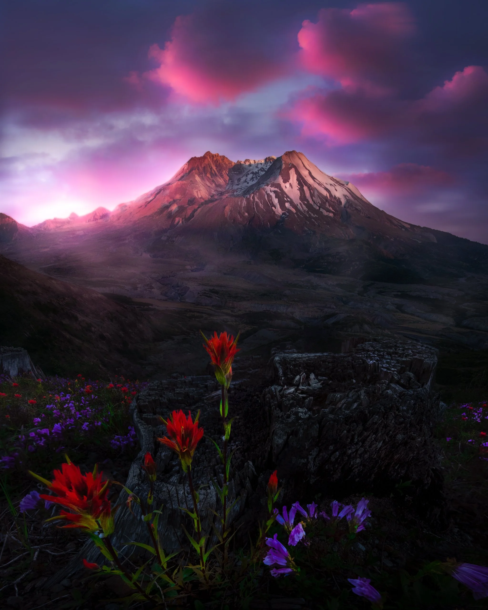 Paintbrush and Cascade Penstemons waking up during a summer bloom at Mt St Helens