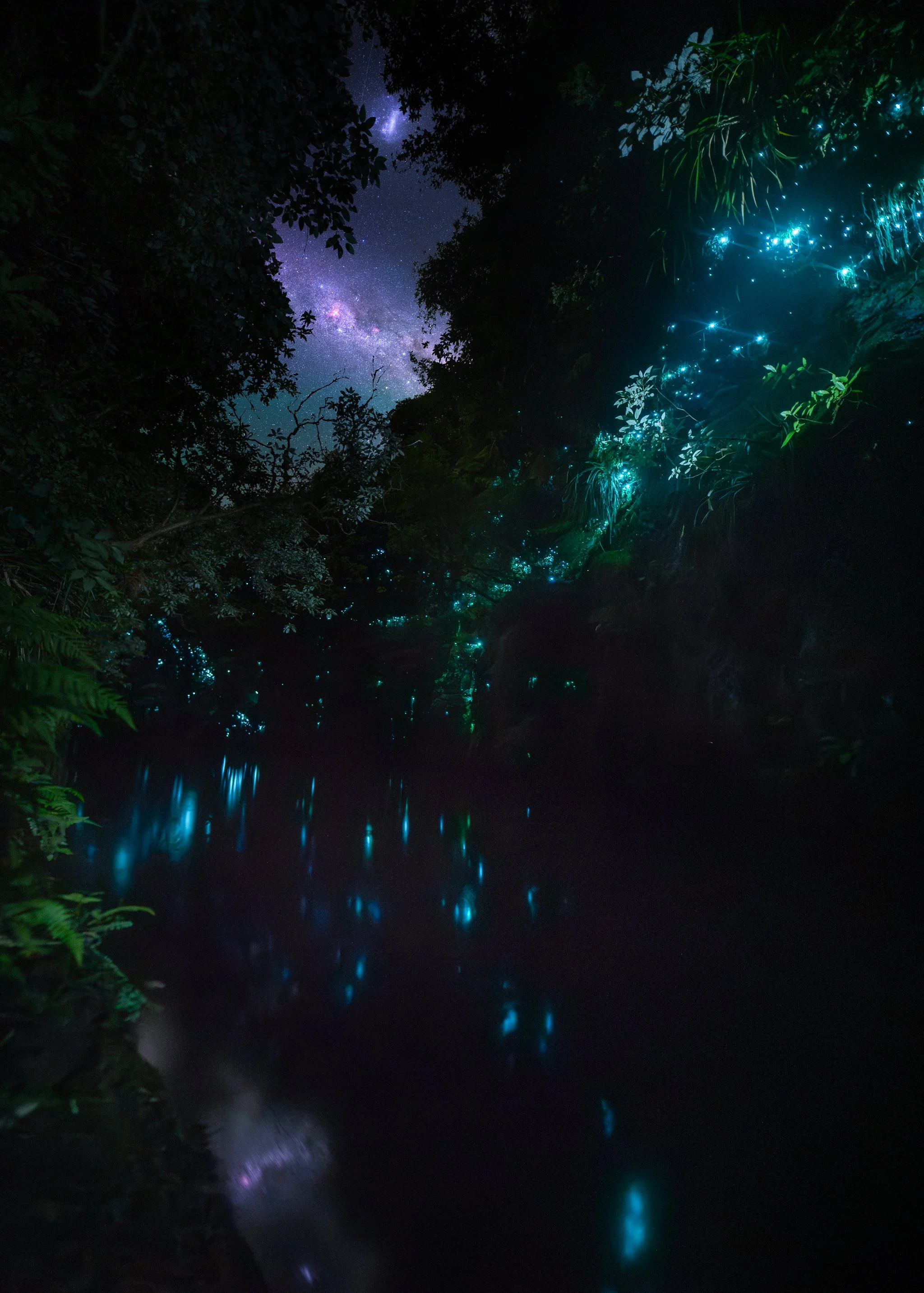 kayak-canyon-glow-worm-milky-way.WEB.jpg