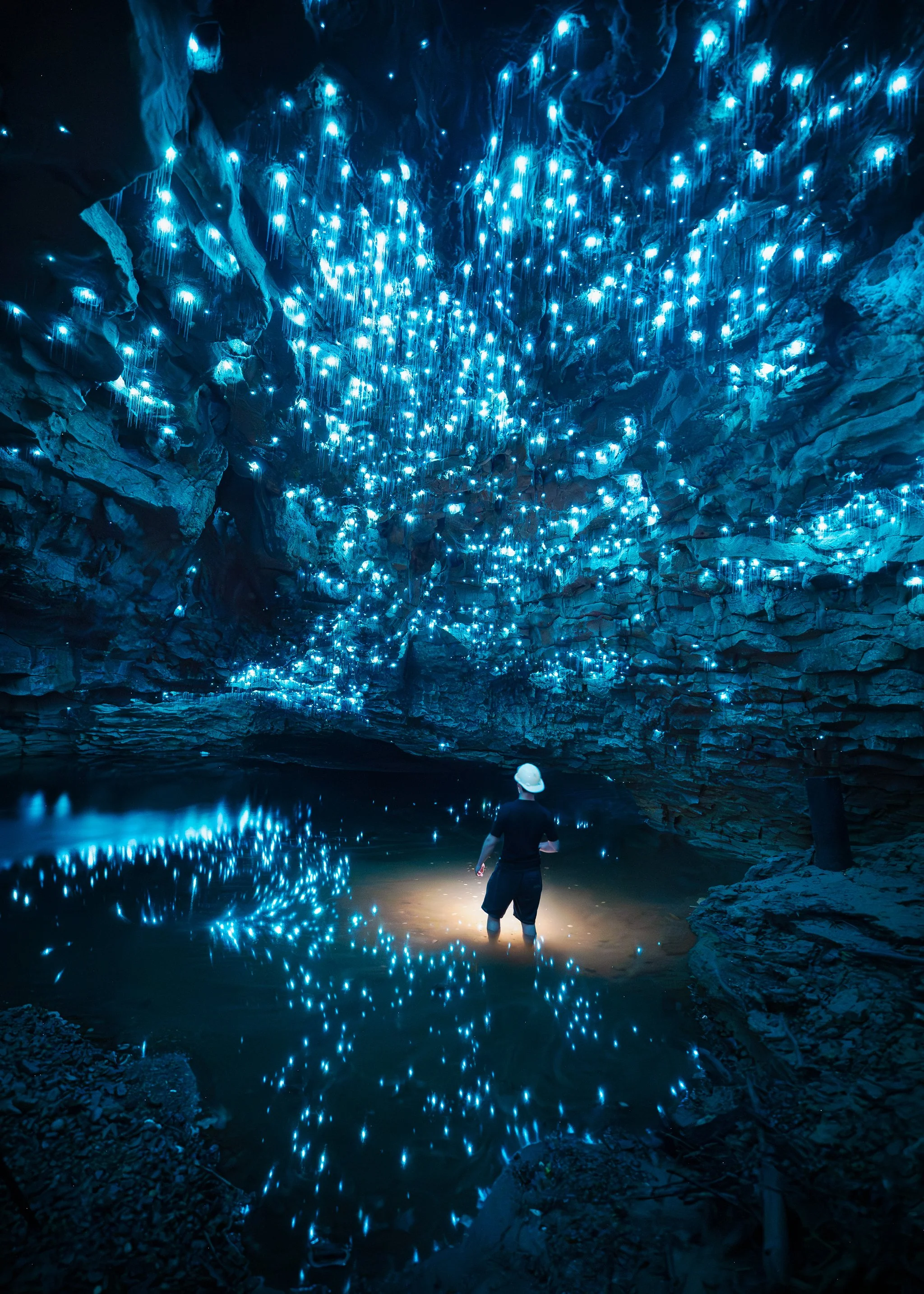 Tom-Spellbound-Glow-Worms.web.jpg