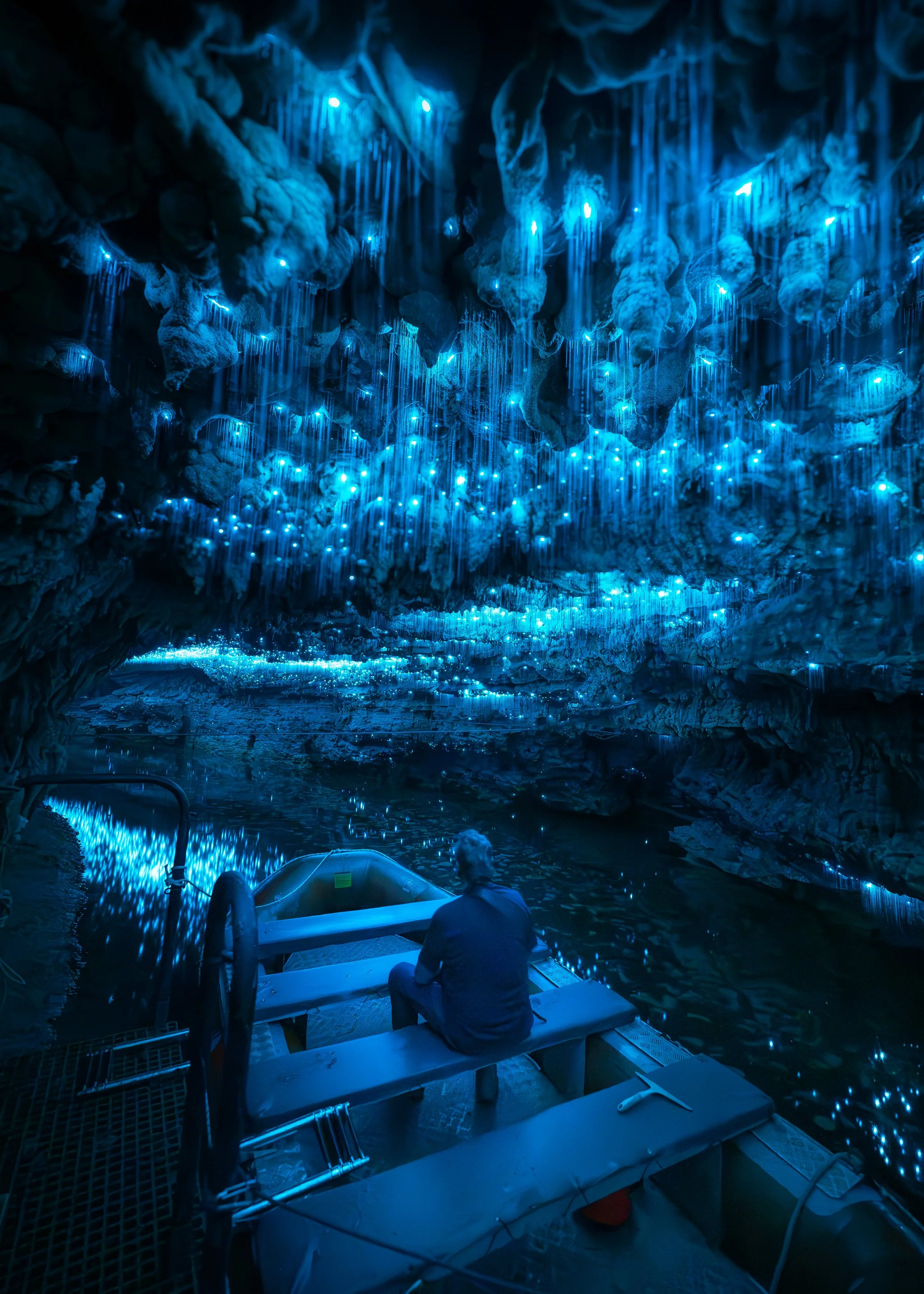 Ross-Boat-Glow-Worm.webs.jpg