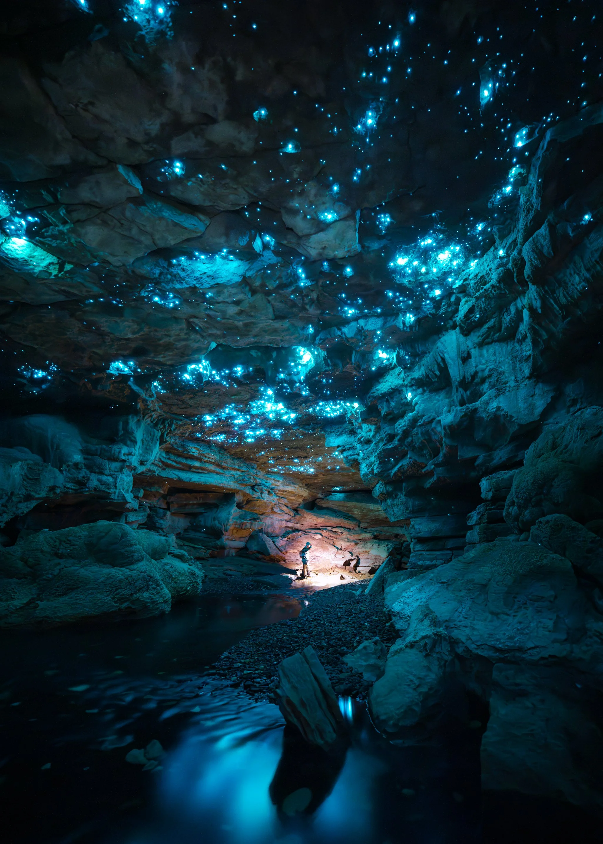 Down-to-Earth-Ash-Moria-Glow-Worm-Cave.web.jpg