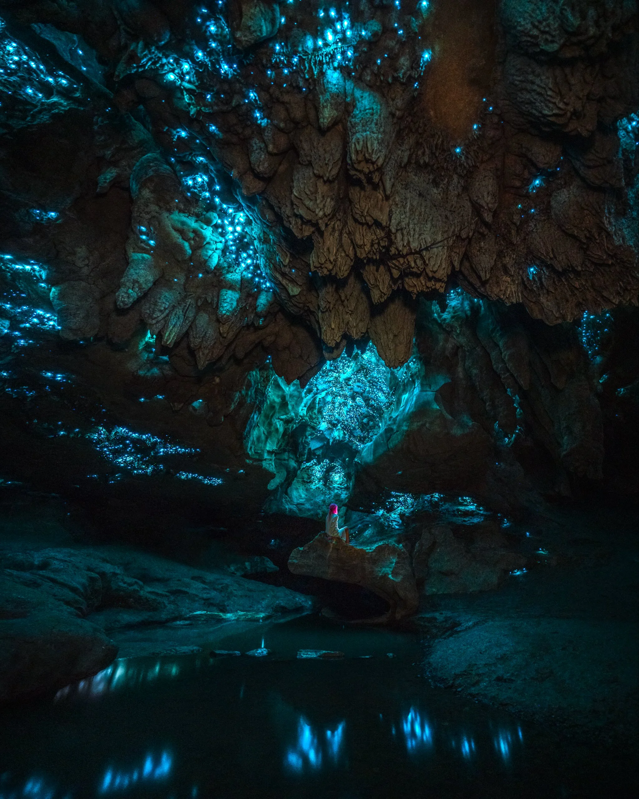A complete guide to New Zealand’s most stunning glow worm caves and adventures!