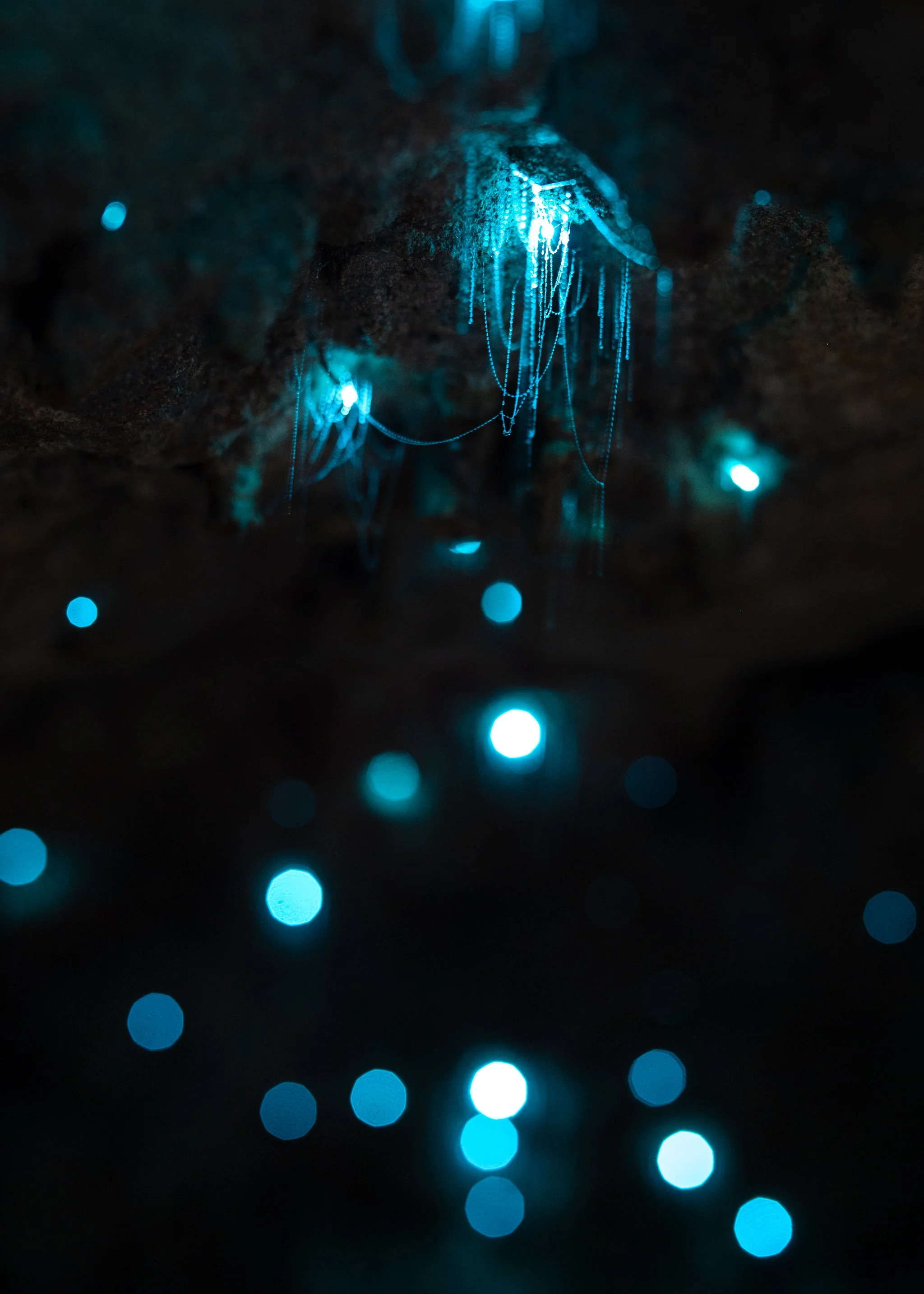 50mm-glow-worm-string-bokeh.WEB.jpg