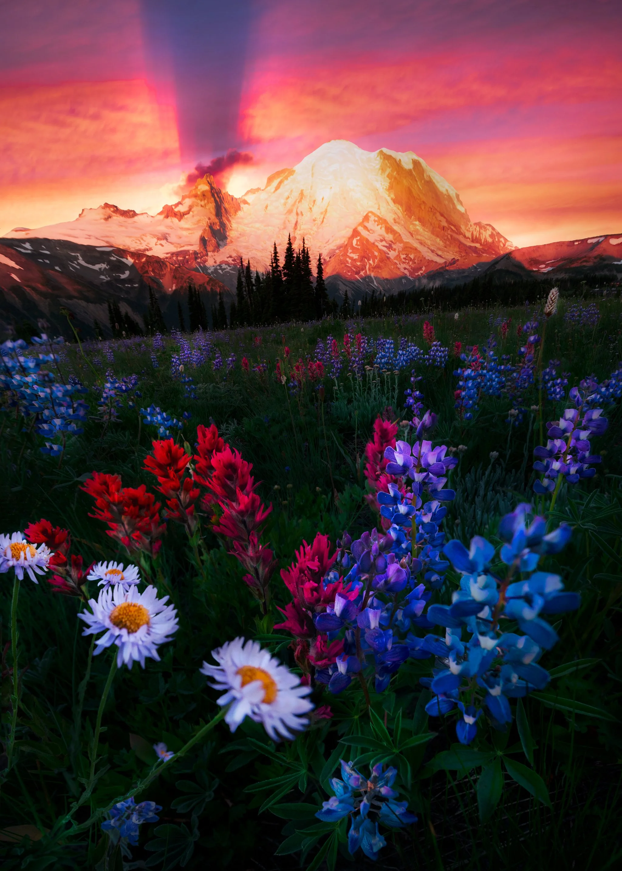 rainier-flower-epic-sunset-blend.jpg