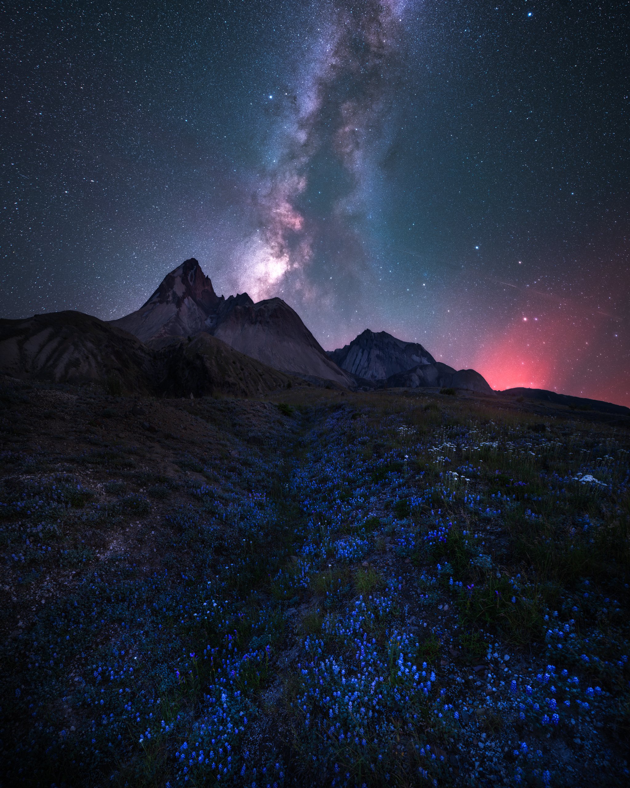 helens-wildflower-gully-milky-way.web.jpg