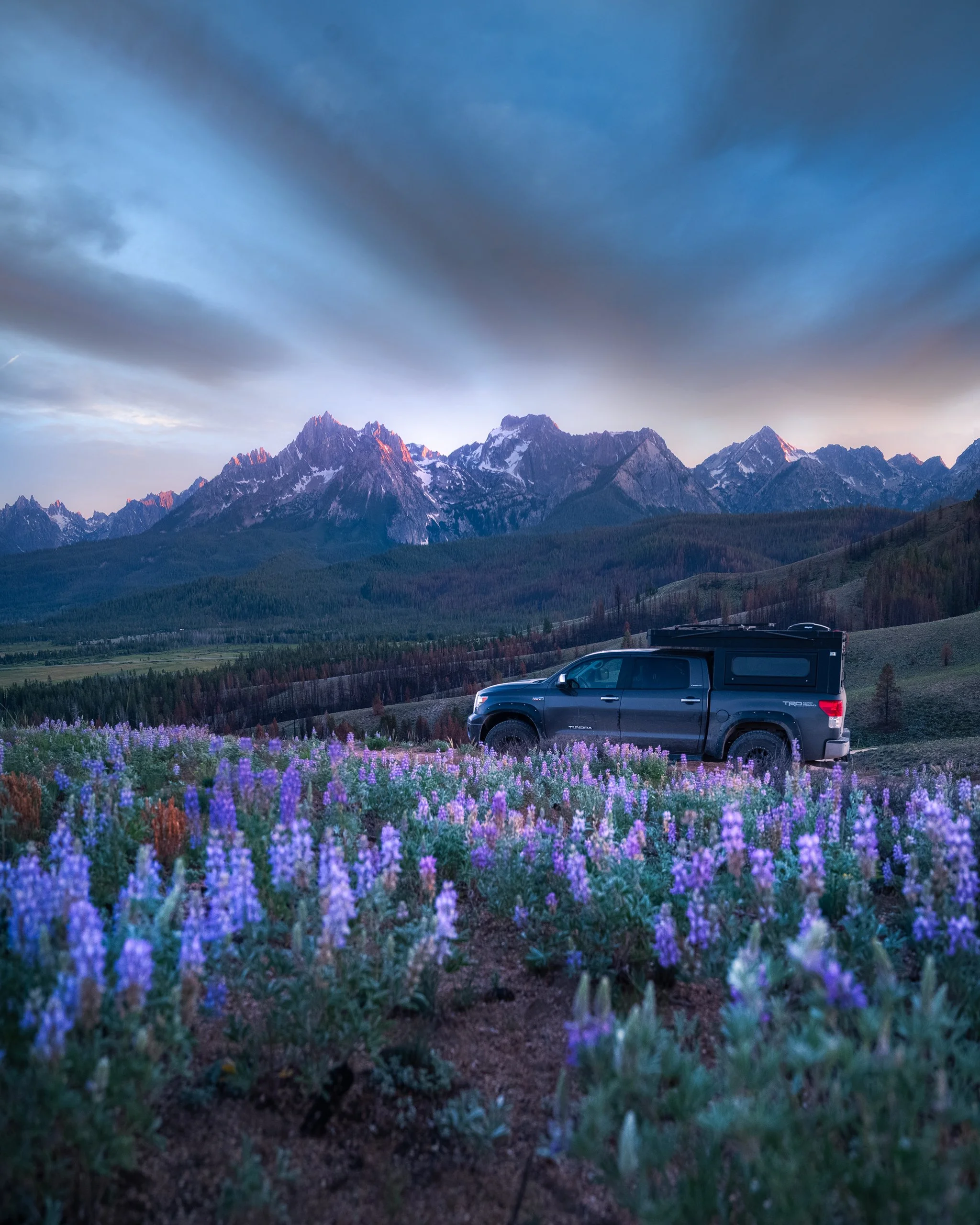 Nip-Tuck-Truck-Wildflower-Sunset.web.jpg
