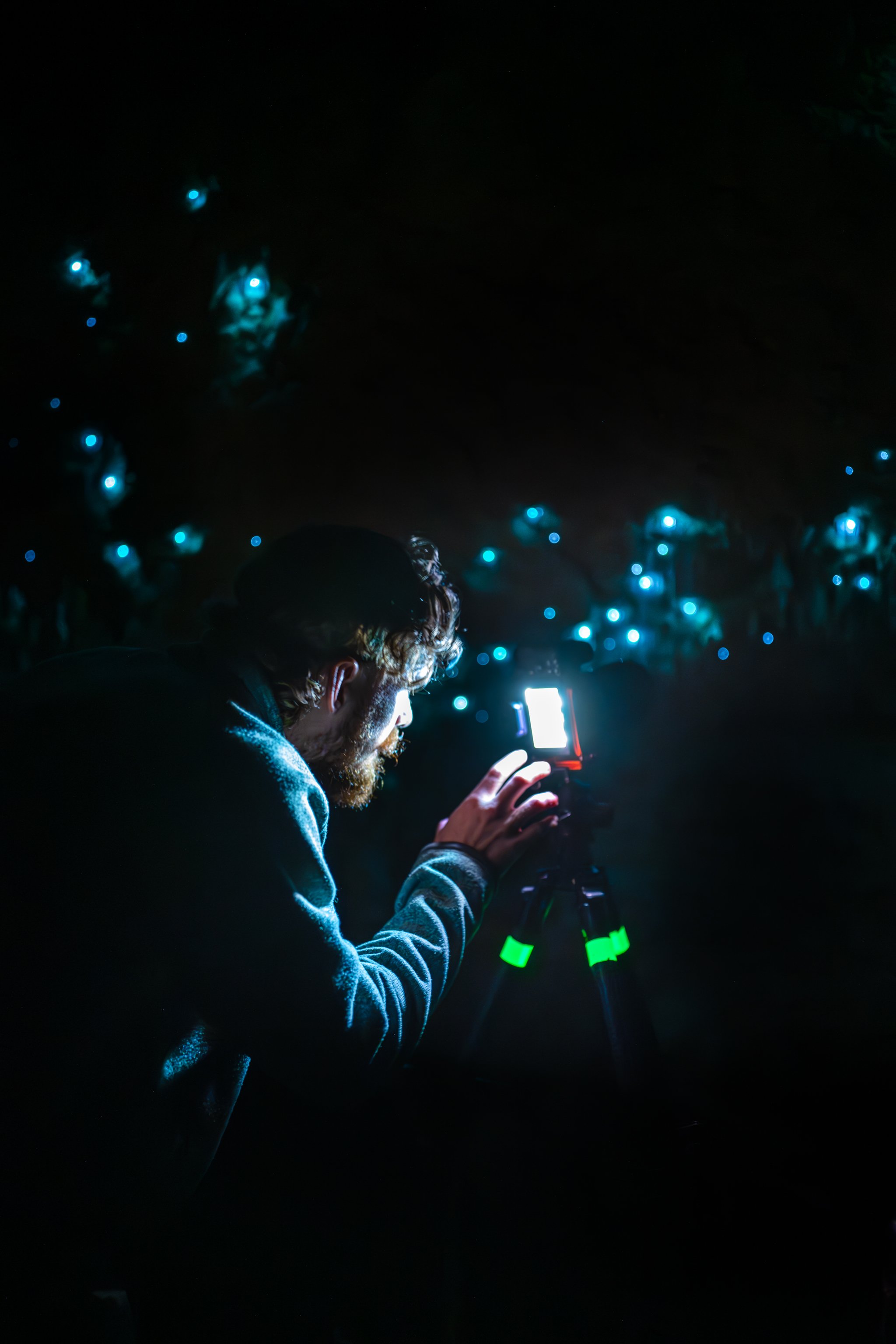 Andrew-Waipu-Farm-Cave.web.jpg