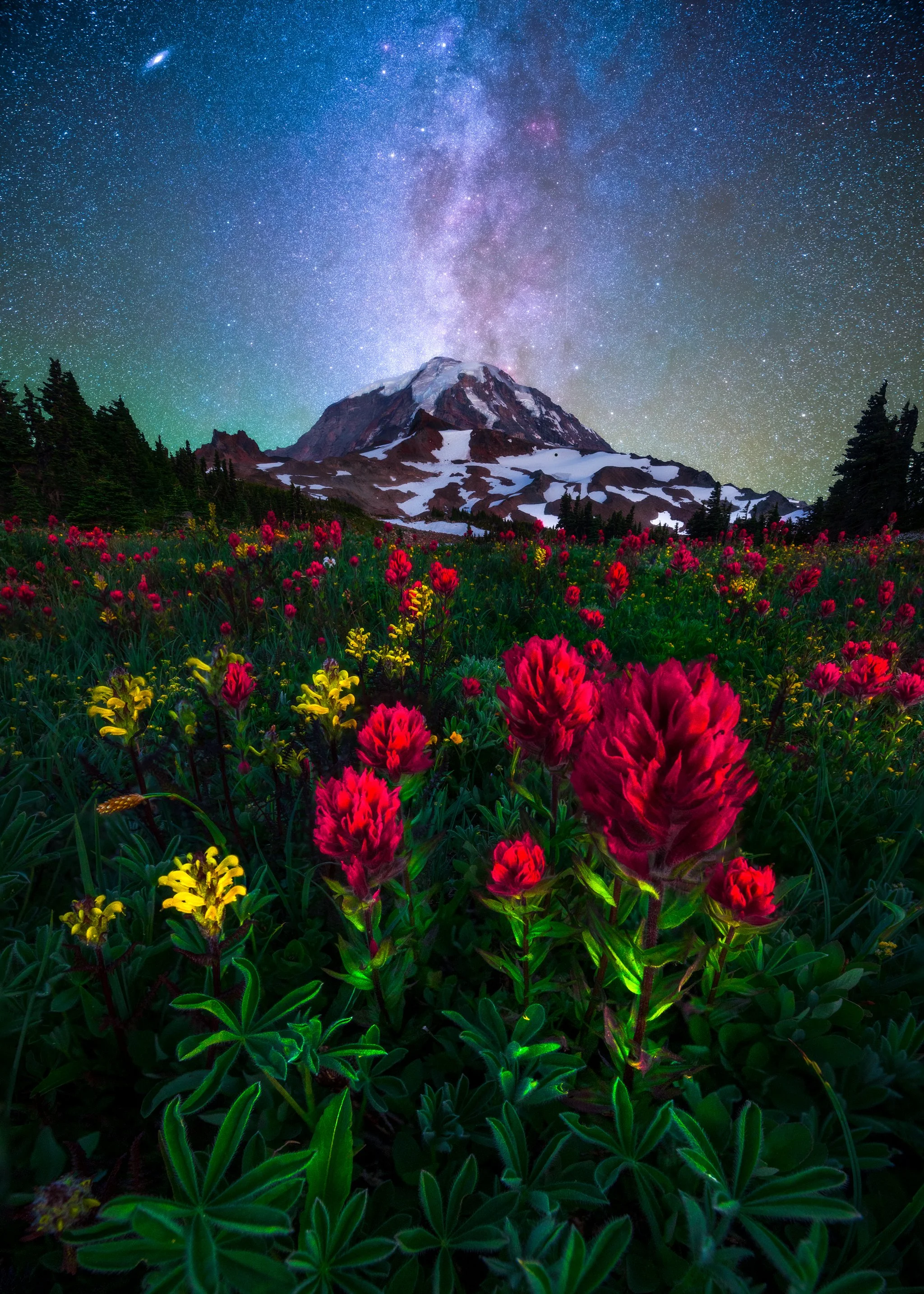 rainier-billion-wildstarflowers.jpg