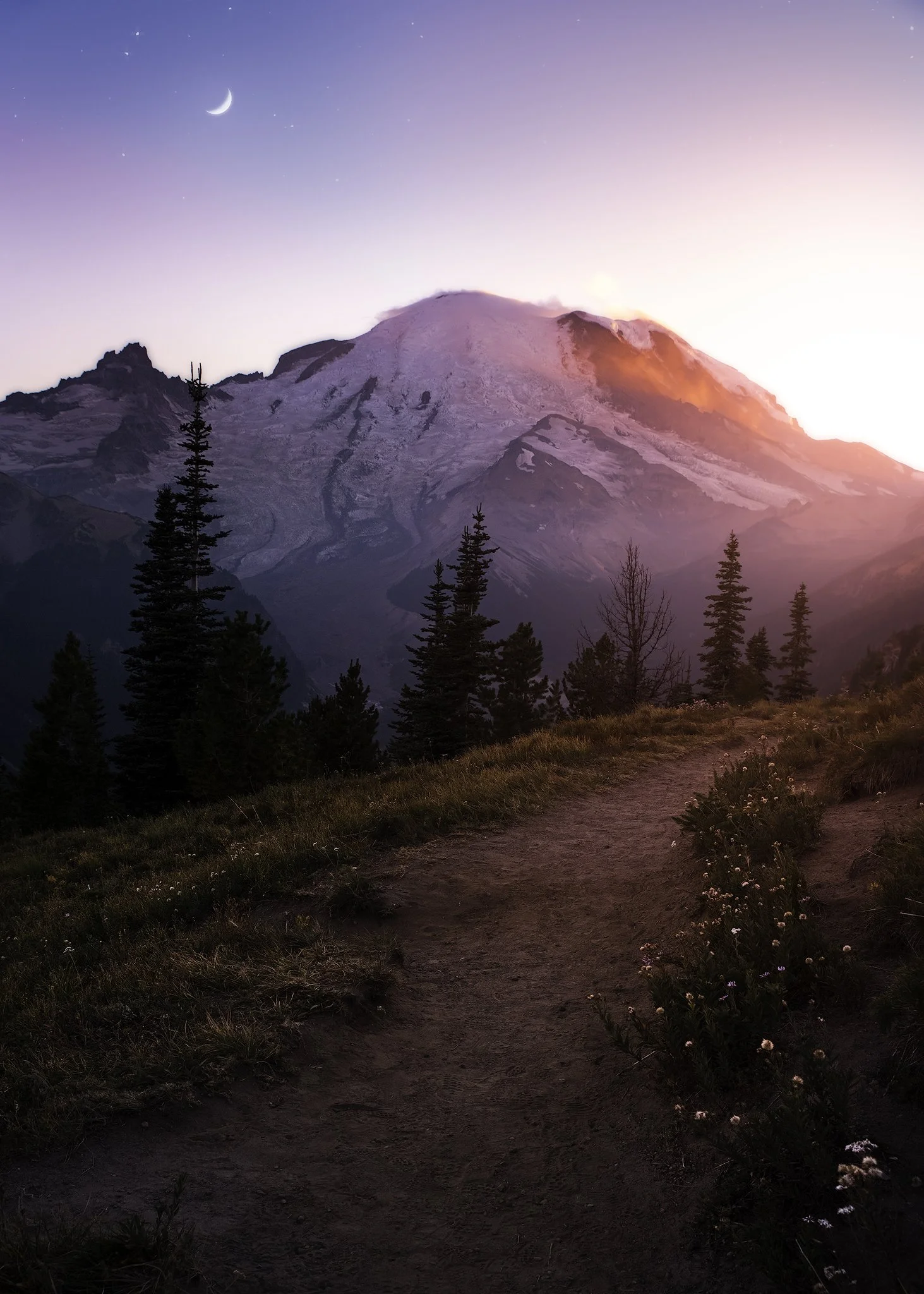 rainier hikes.jpg