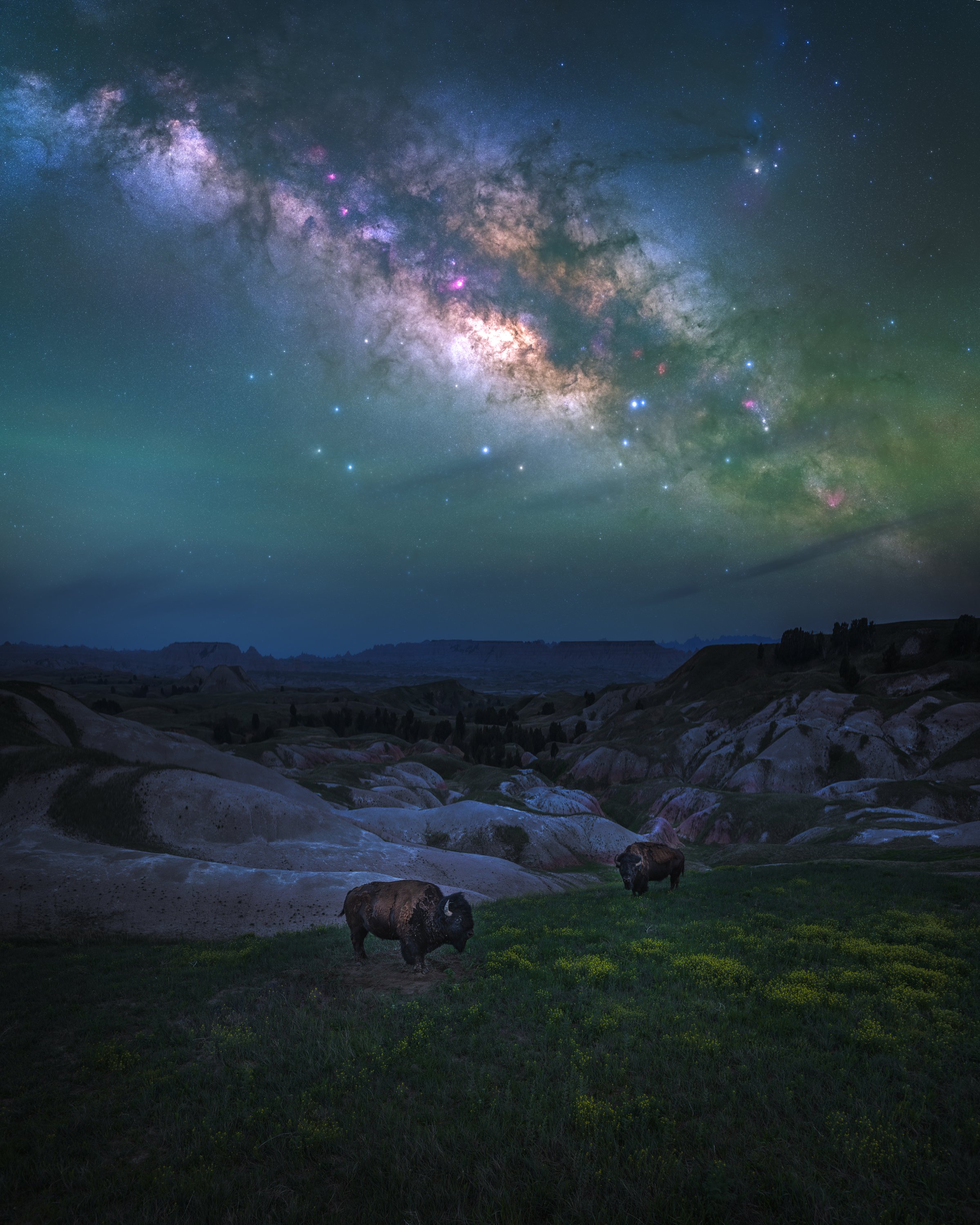 badland-bison-milky-way2.jpg