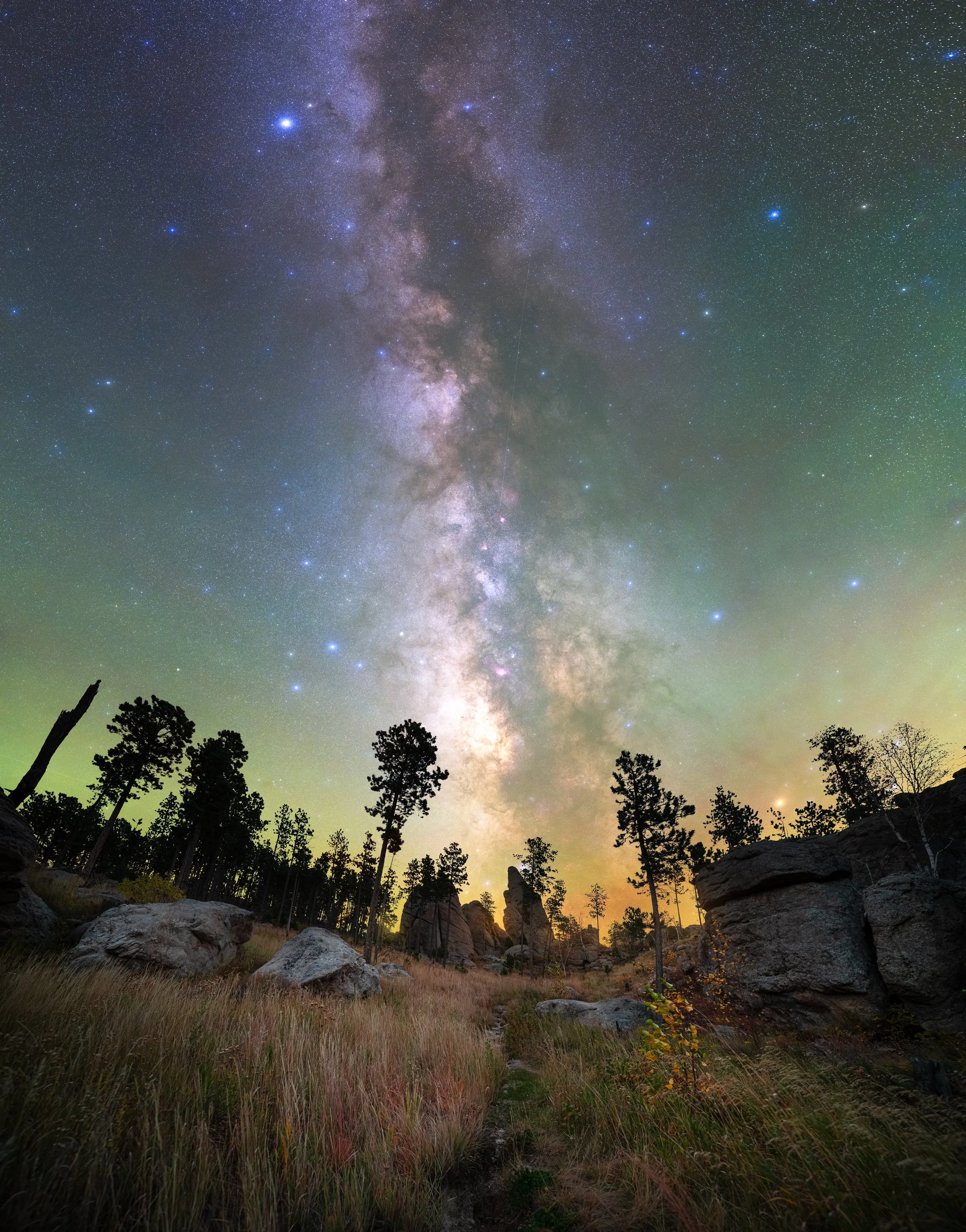 Black-Hills-Forest-Milky-Way.web.jpg